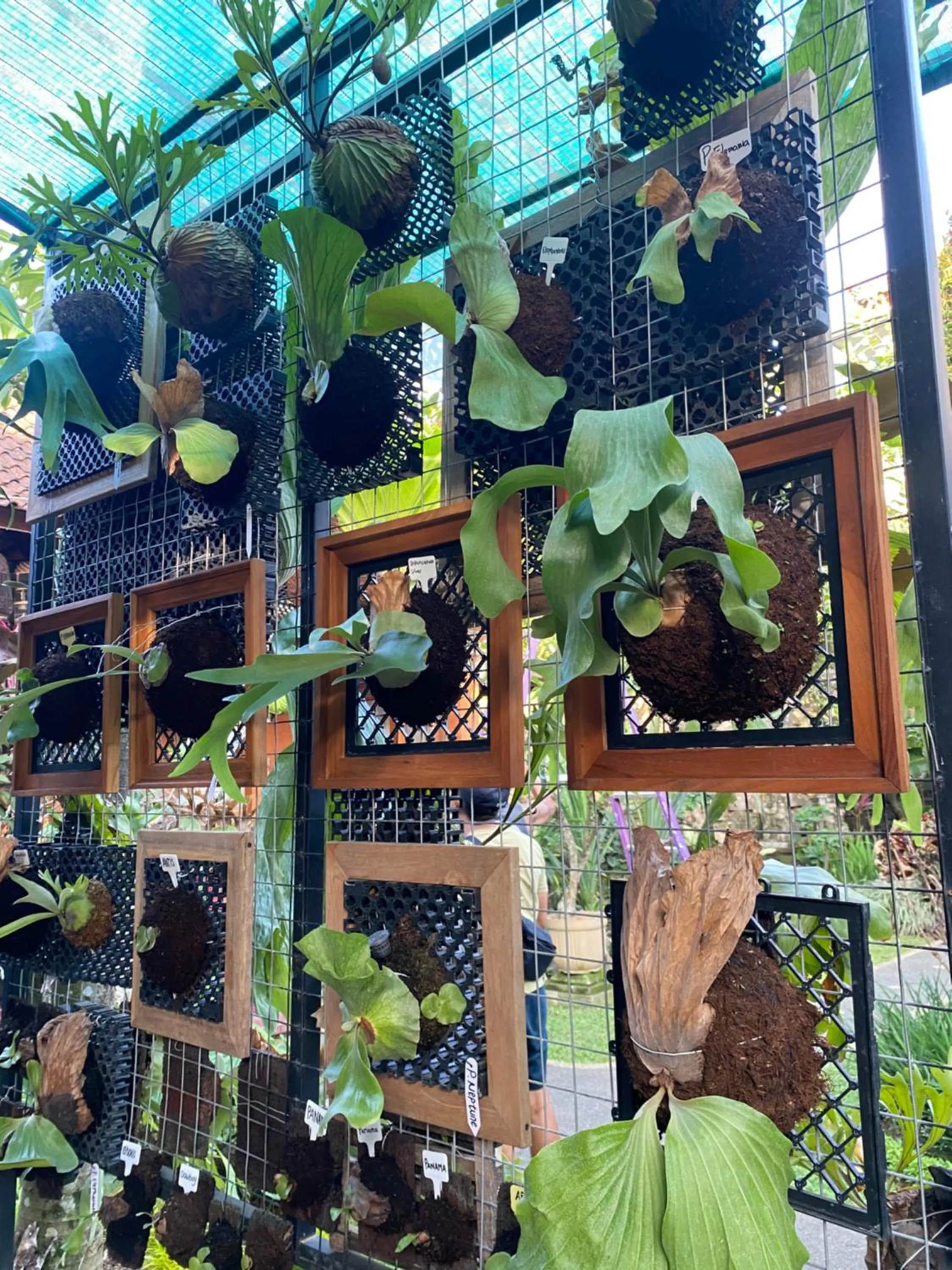 Suryadina Guest House