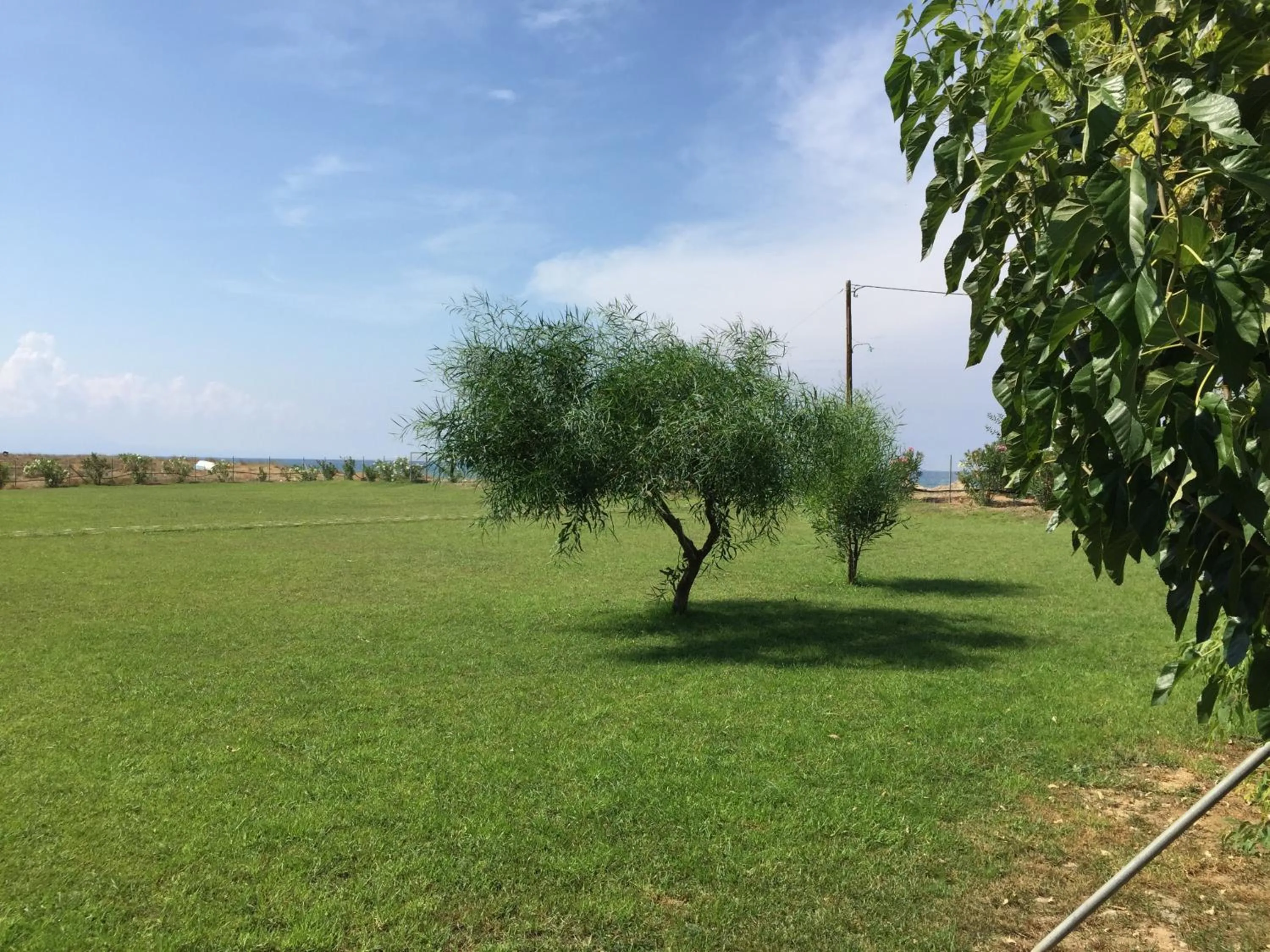 Garden in Ostria Hotel Kakovatos Beach