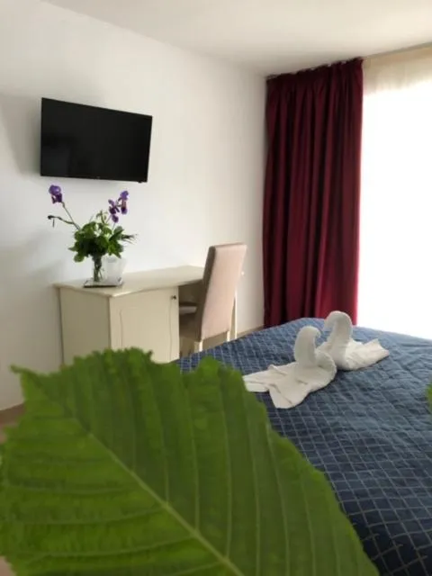 Photo of the whole room in Academy Hotel