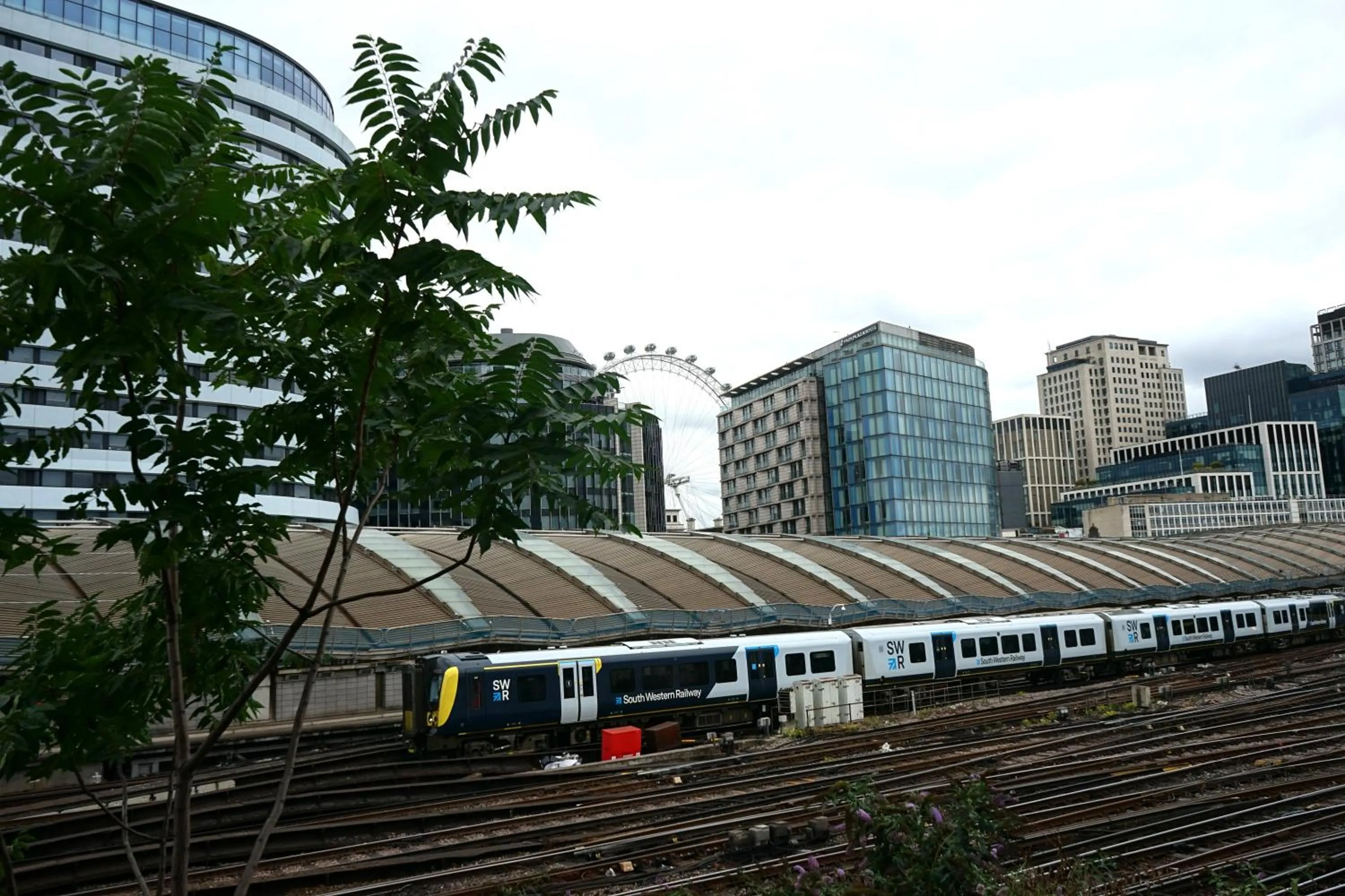 City view in The Walrus Bar and Hostel