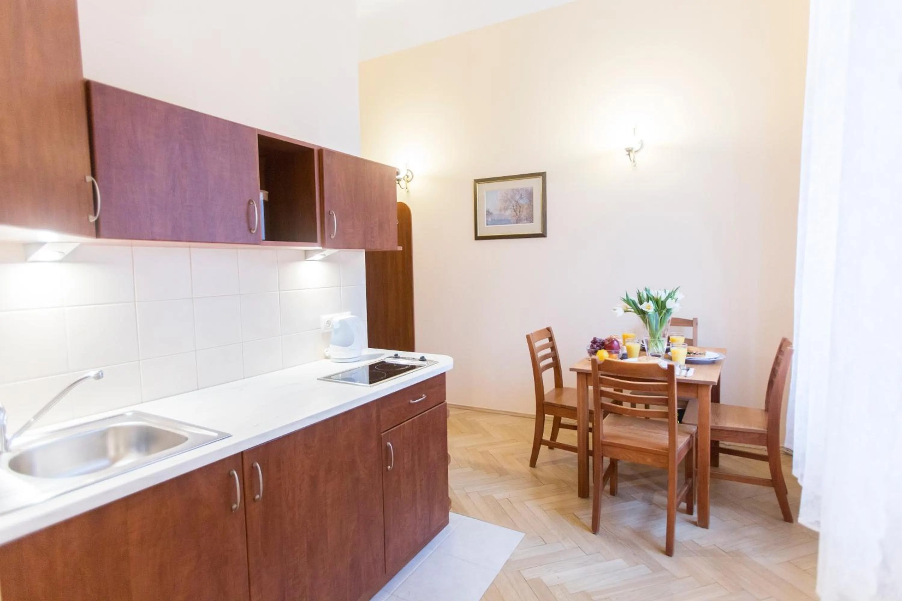 Kitchen or kitchenette in Apartments Roman