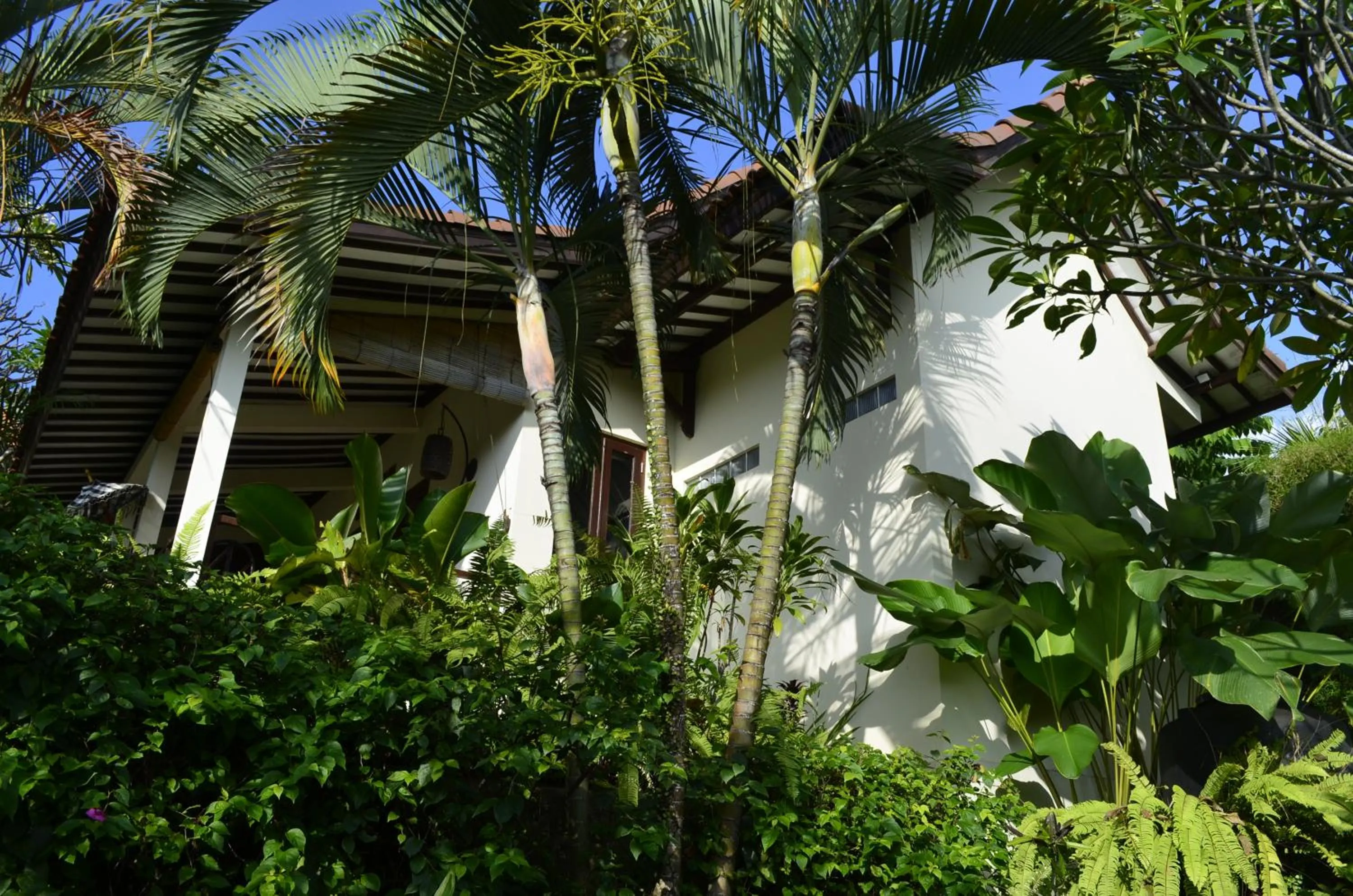 Property building in Alamanda Lovina Resort