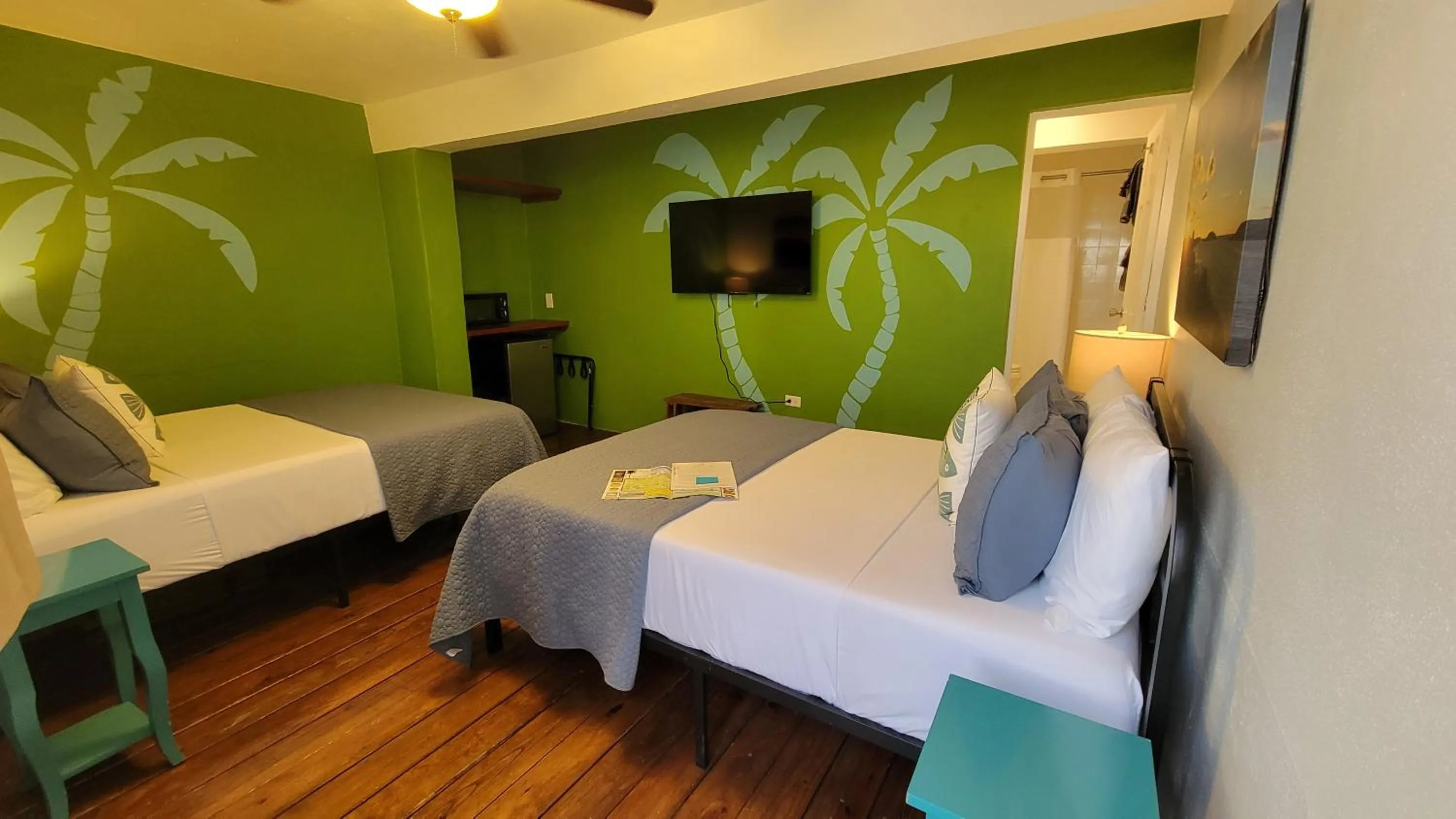 TV and multimedia, Bed in The Vieques Guesthouse