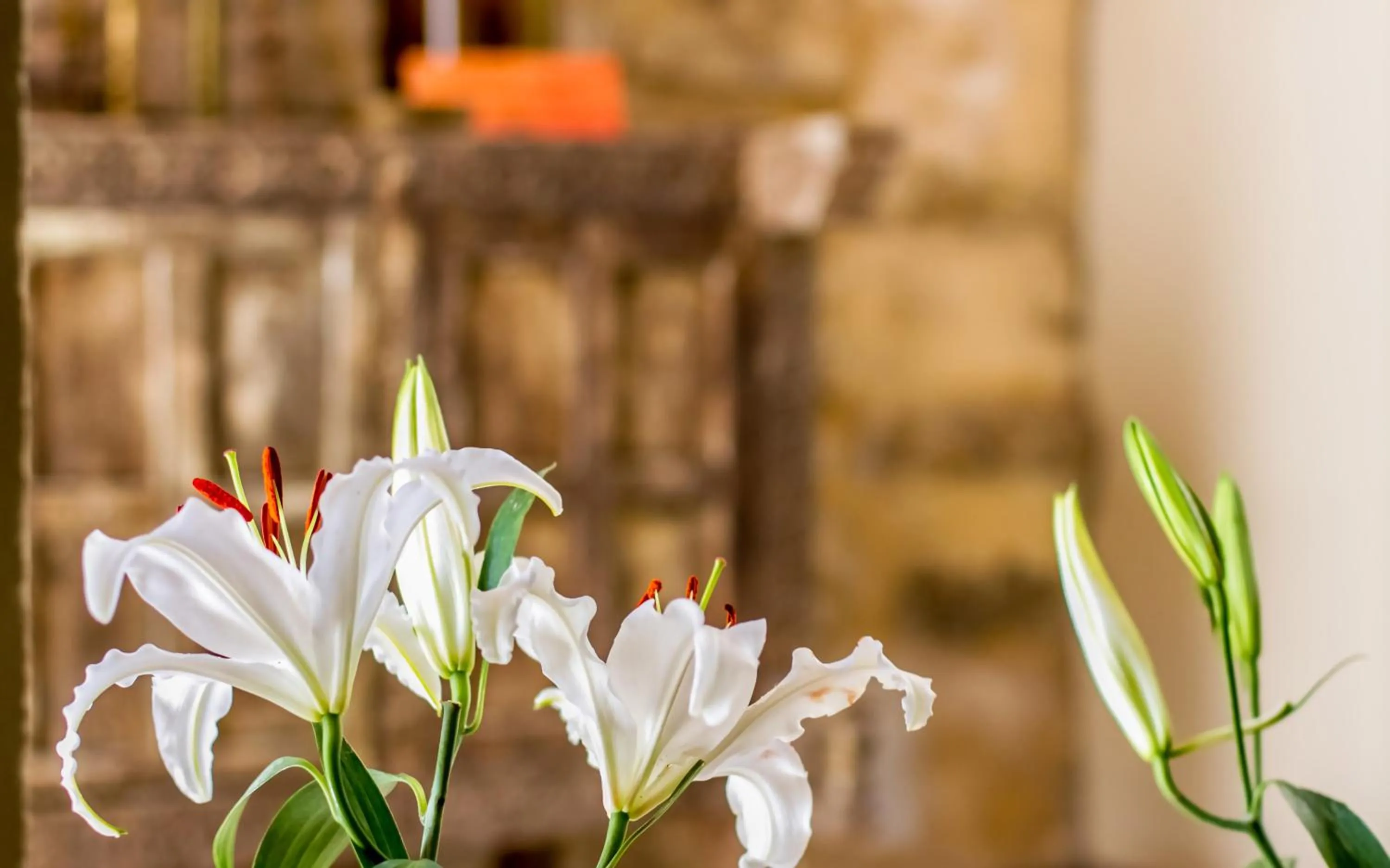 Time of day in The Riad - Adults Only