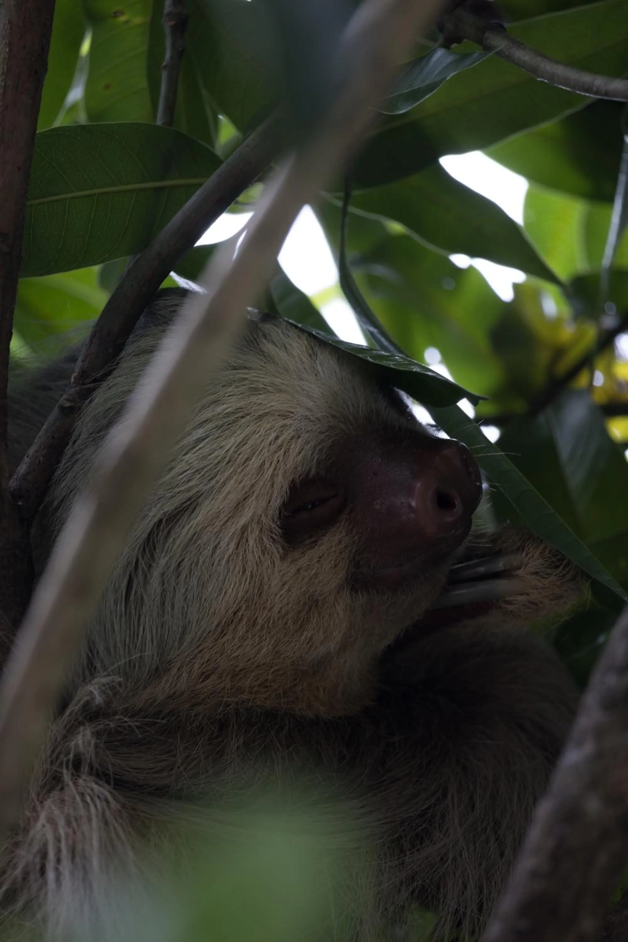 Natural landscape in Hotel Villas de la Selva