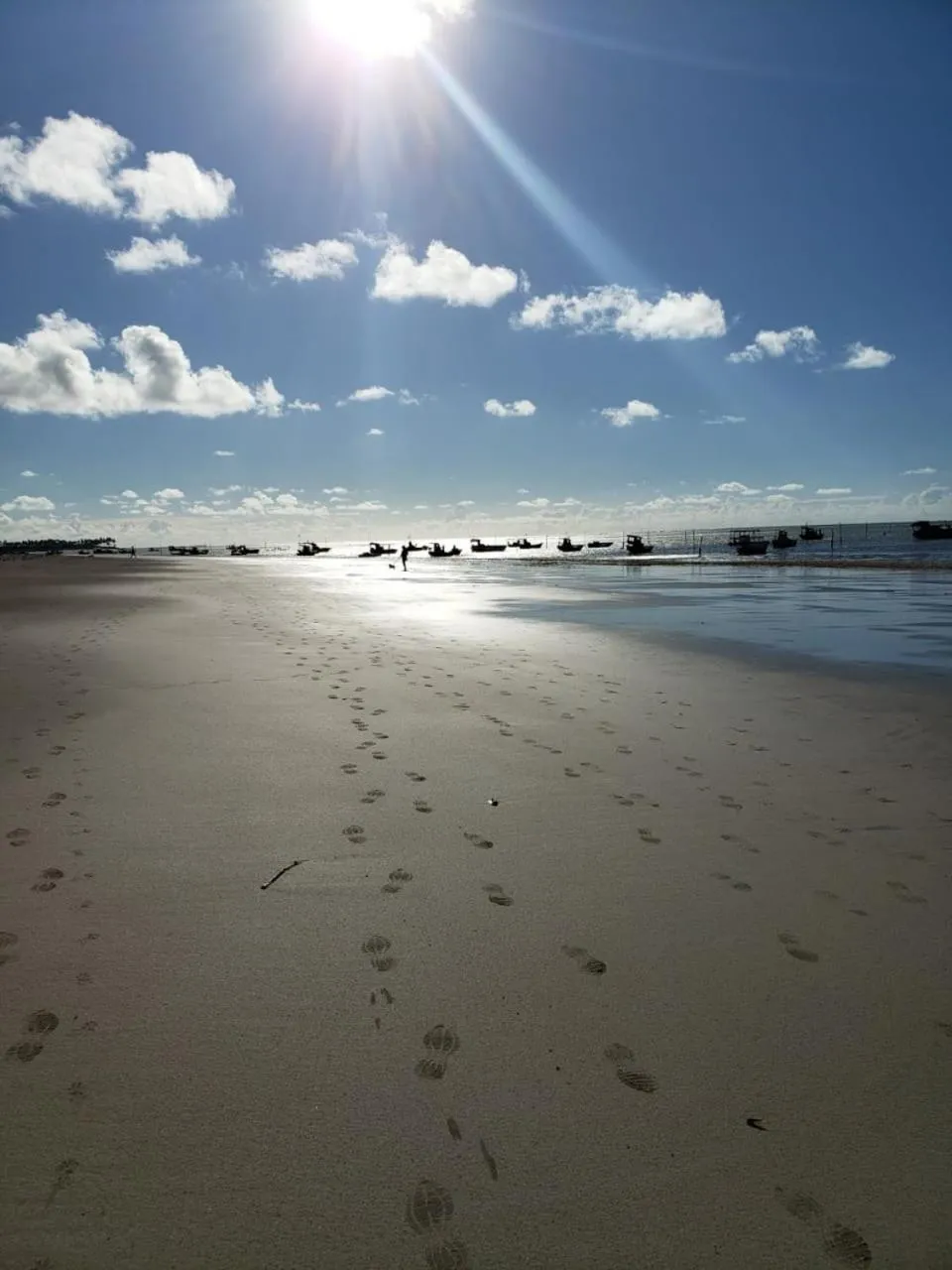 Natural landscape in Pousada Paraíso das Palmeiras