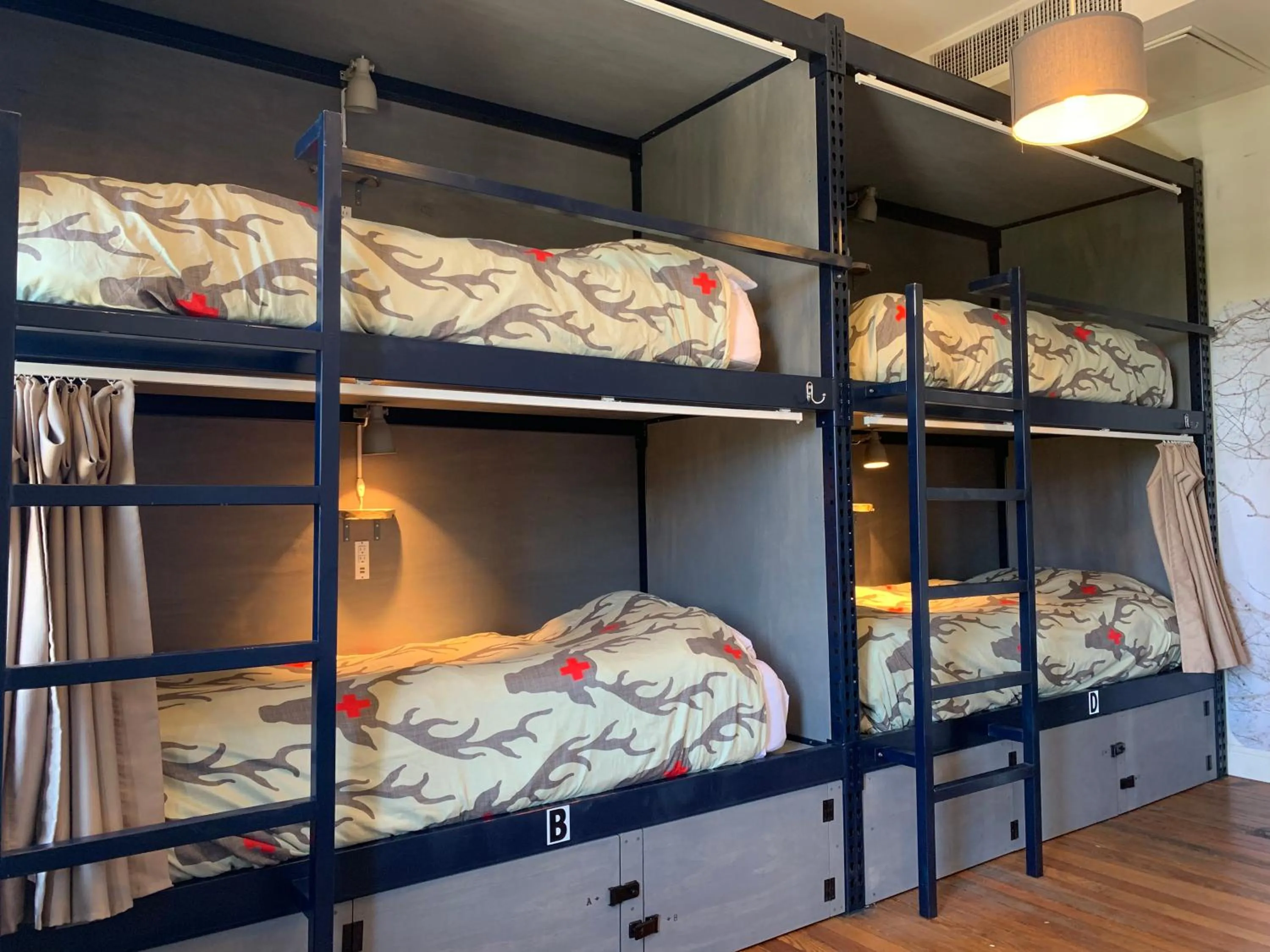 bunk bed, Bed in Hostel Fish