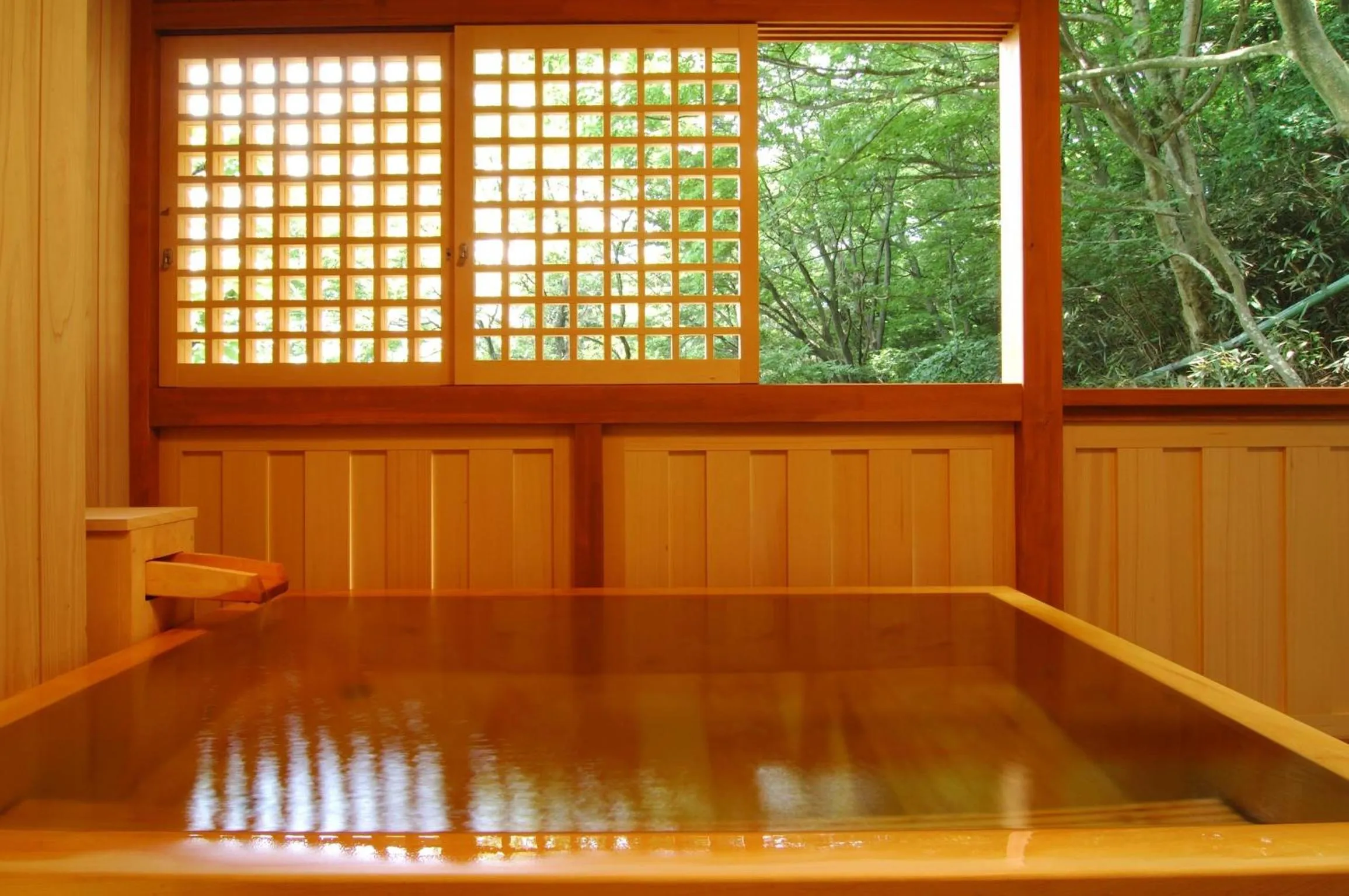Hot Spring Bath in Hakone Tokinoshizuku