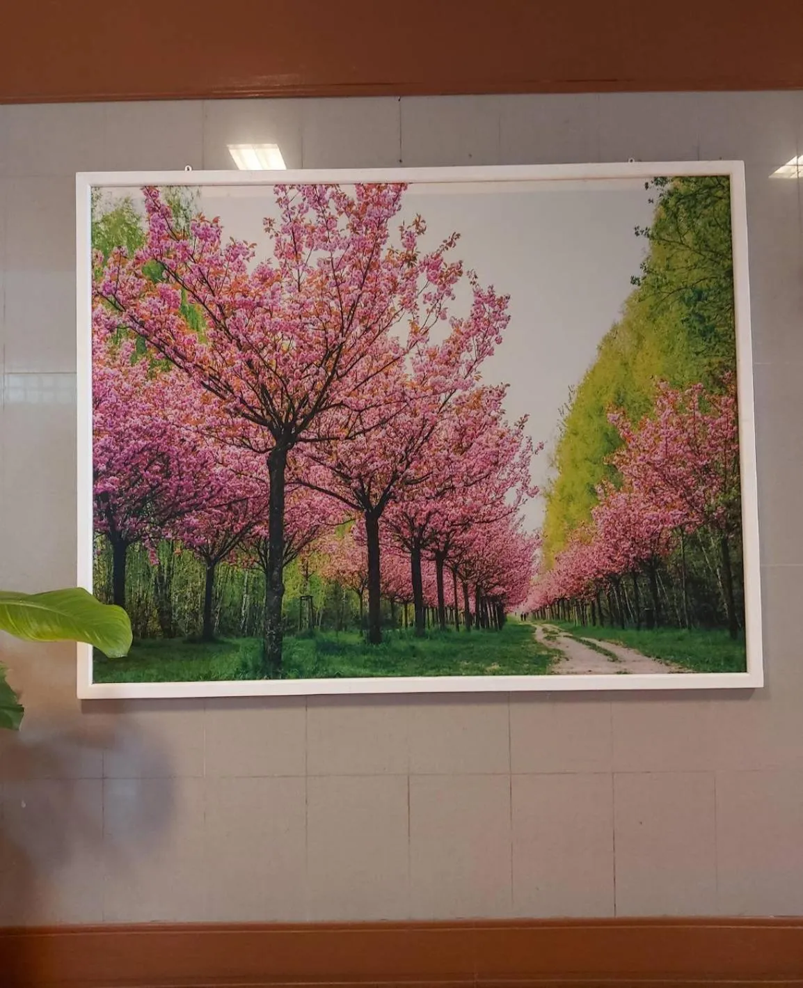 Property building in Suriwong Chumphon Hotel