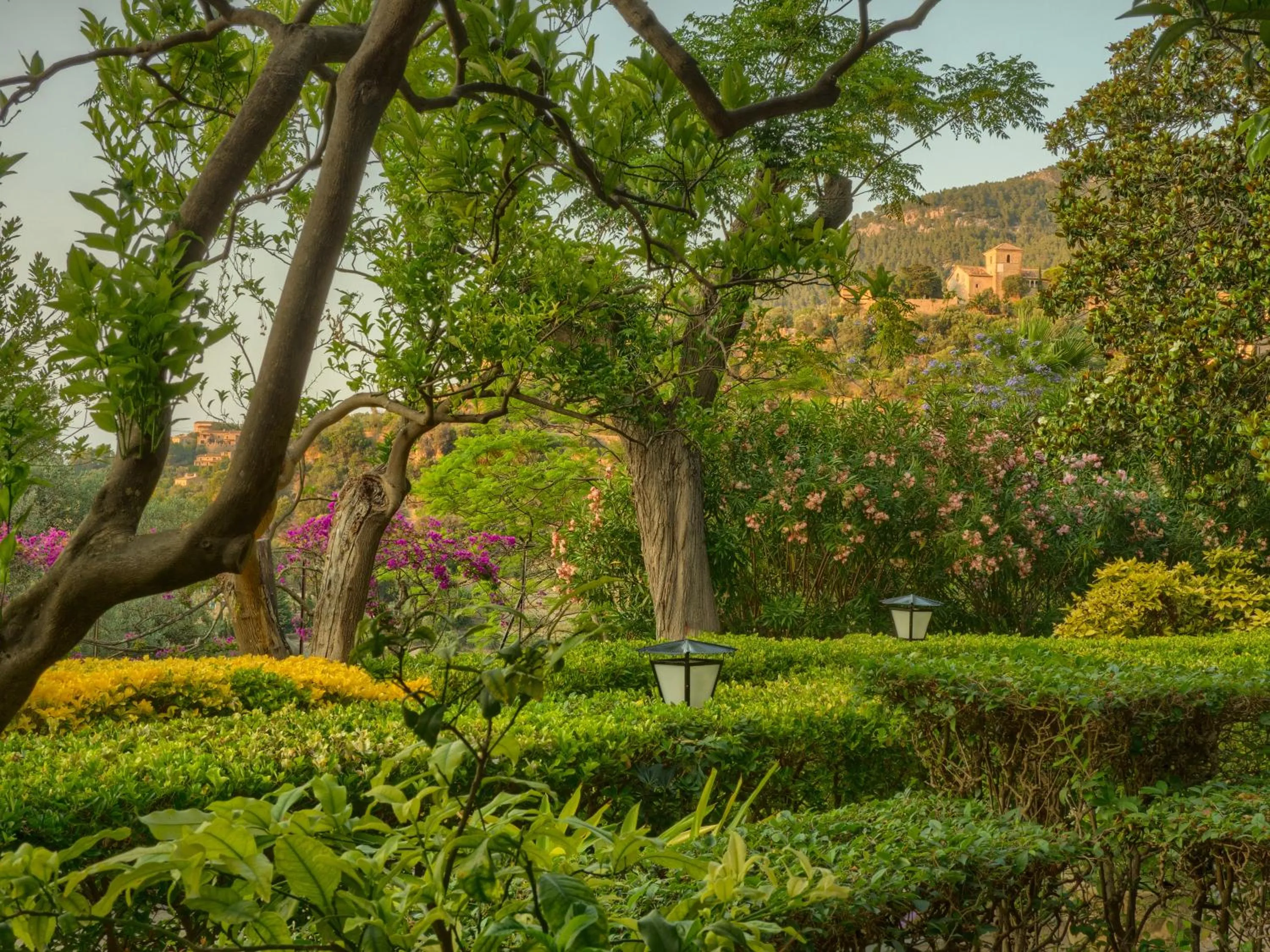 Natural landscape in Es Moli Hotel