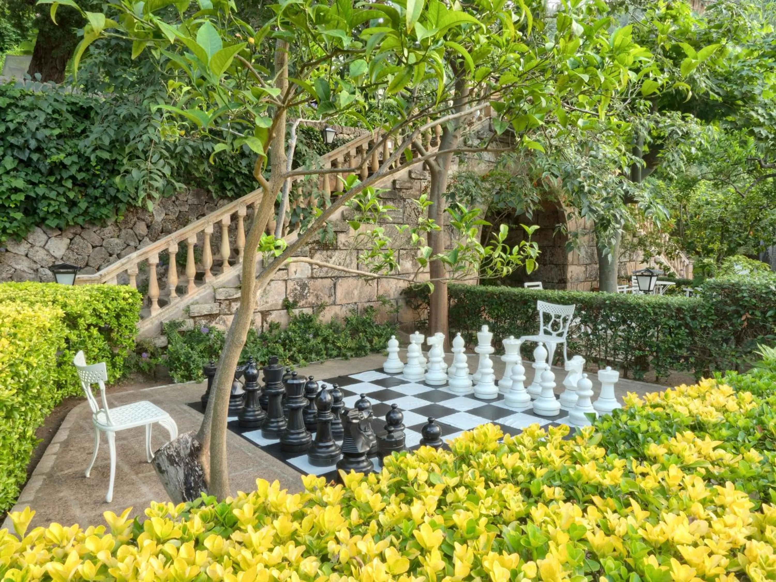Garden in Es Moli Hotel
