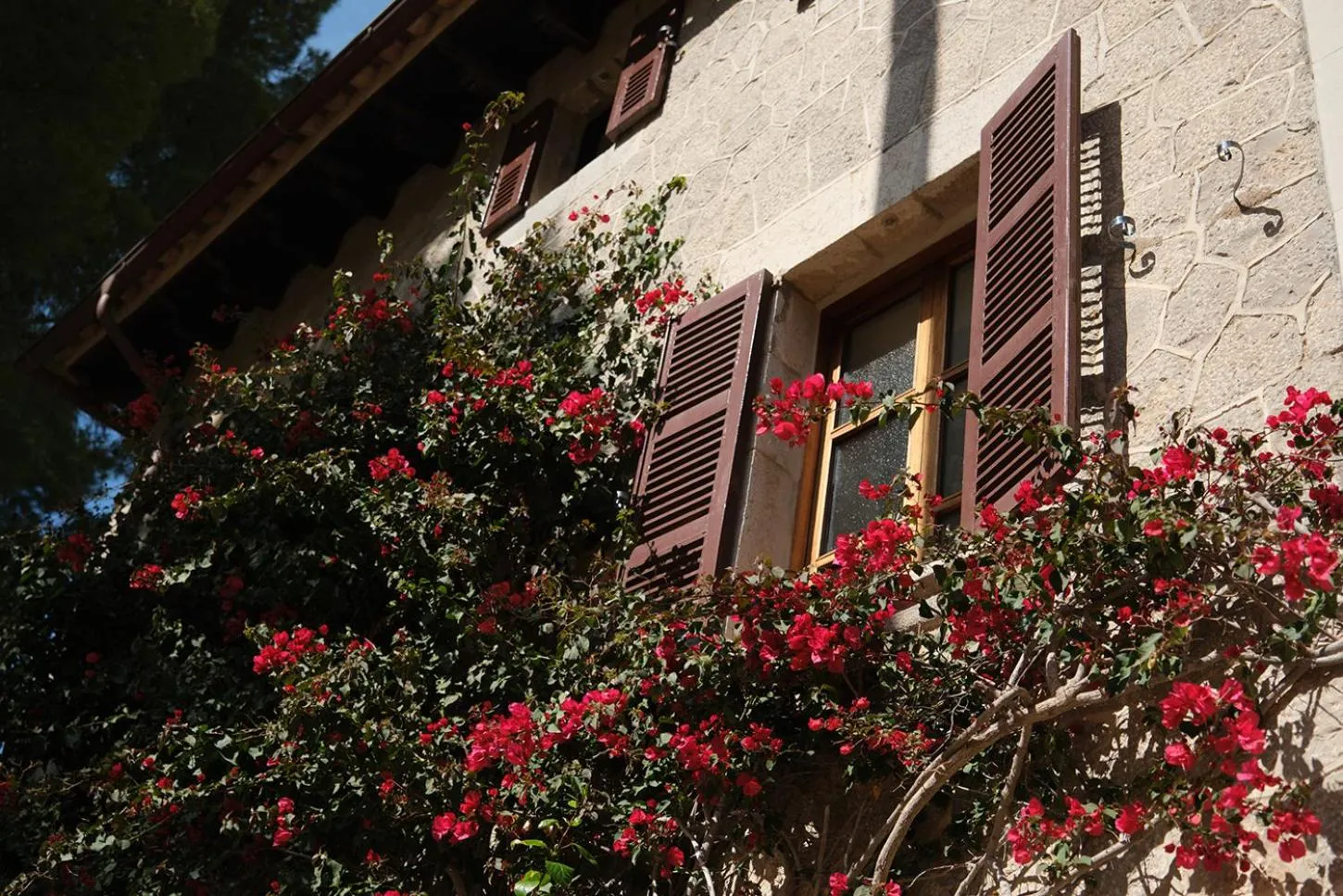 Property building in Es Moli Hotel