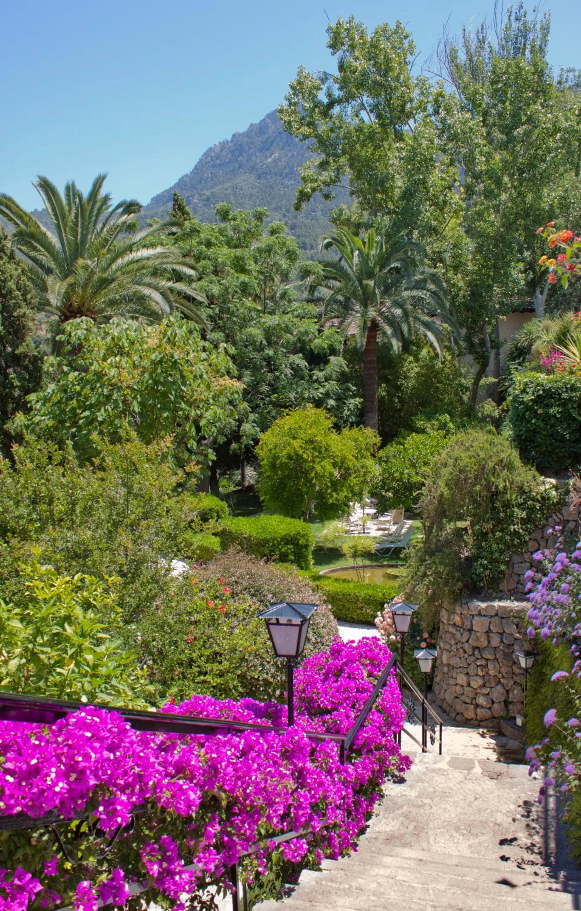 Natural landscape in Es Moli Hotel