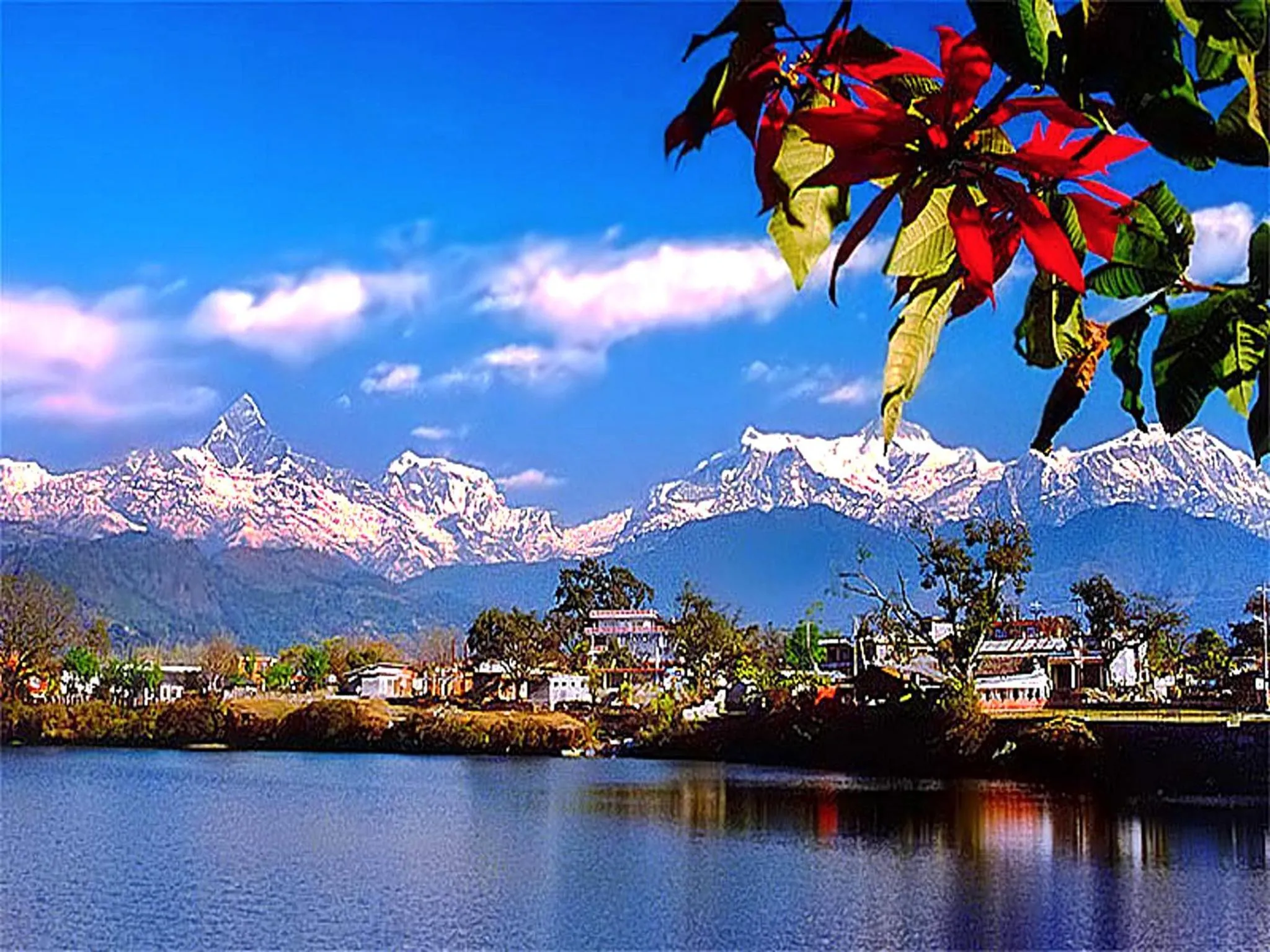 Natural landscape in Hotel City Inn - Mountain View