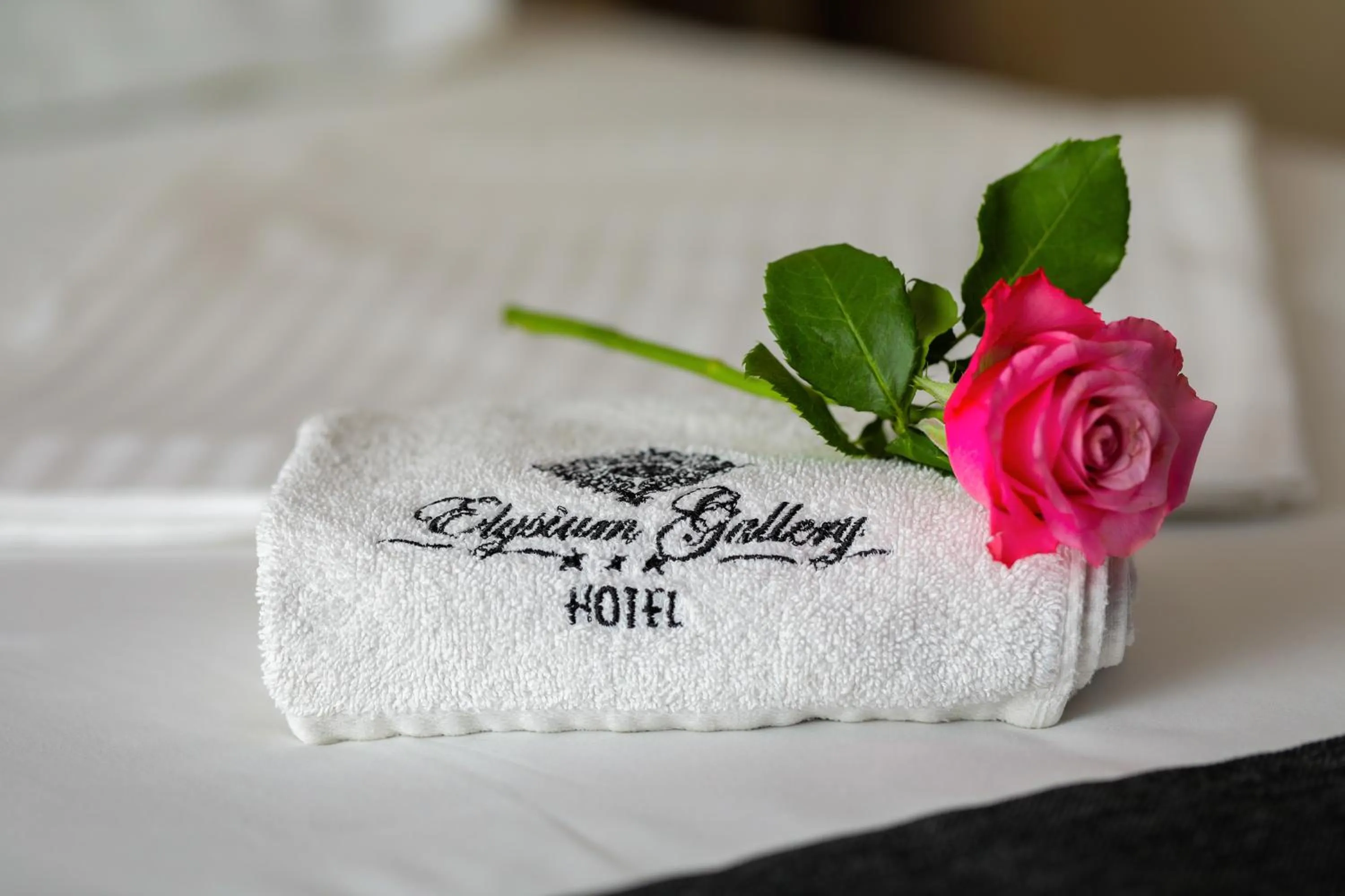 Decorative detail in Elysium Gallery Hotel