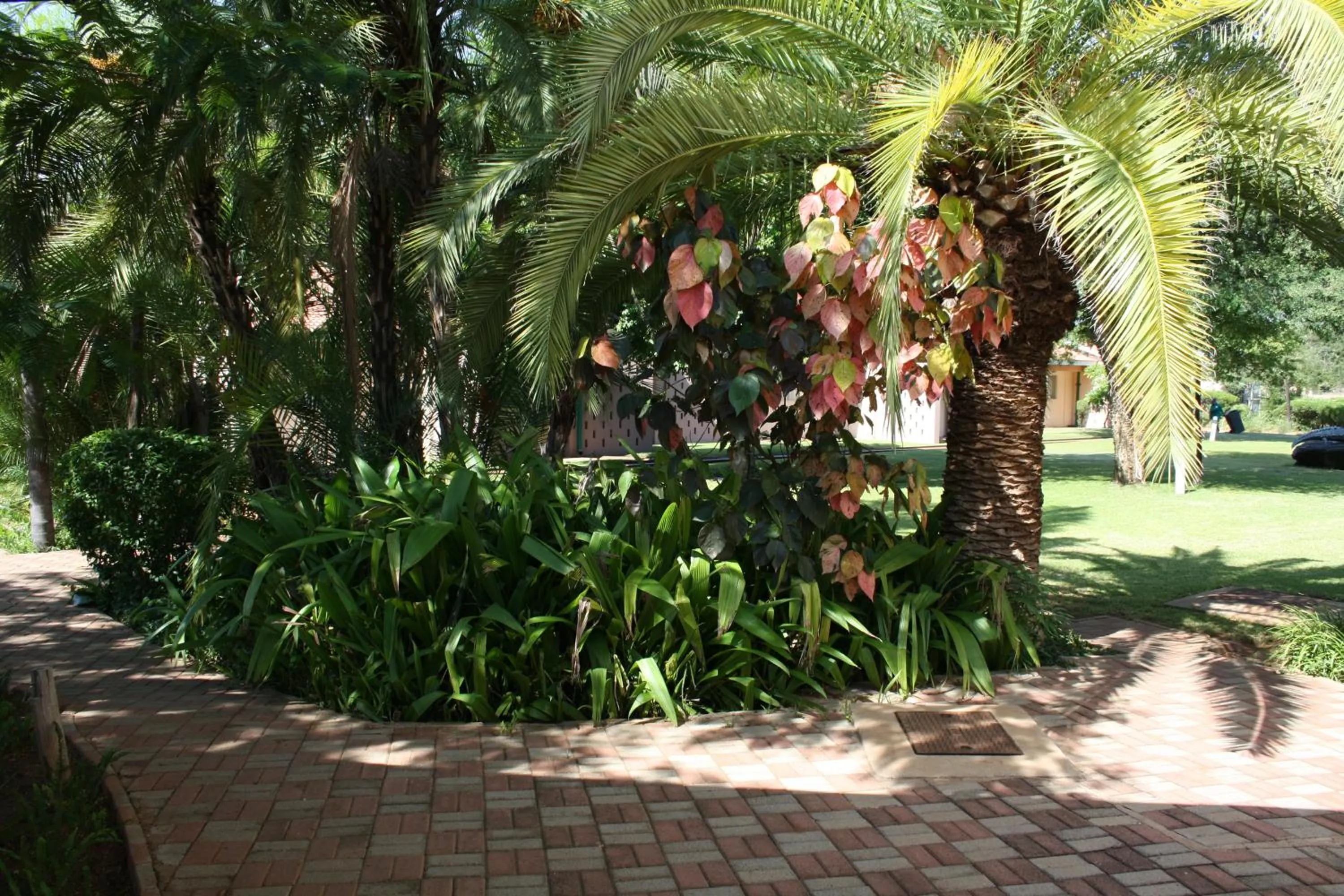 Garden in Cresta Bosele Hotel