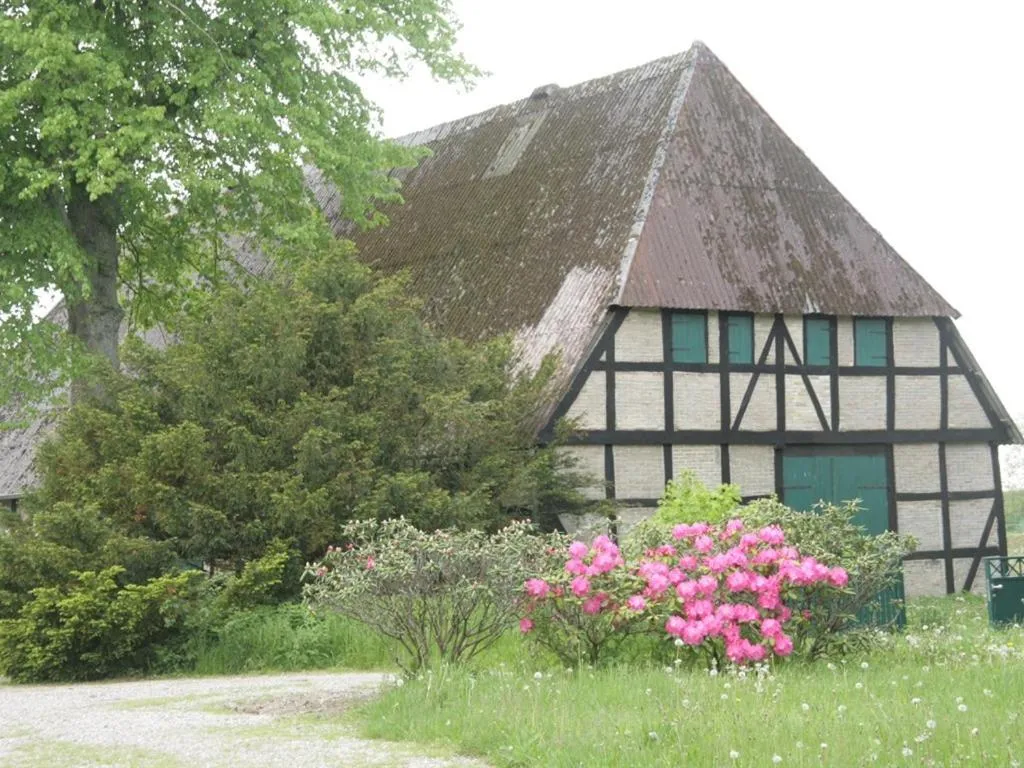 Other in Oase Friedensthal