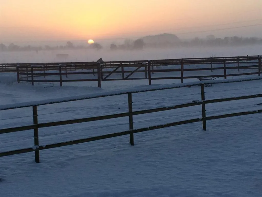 Other in Oase Friedensthal