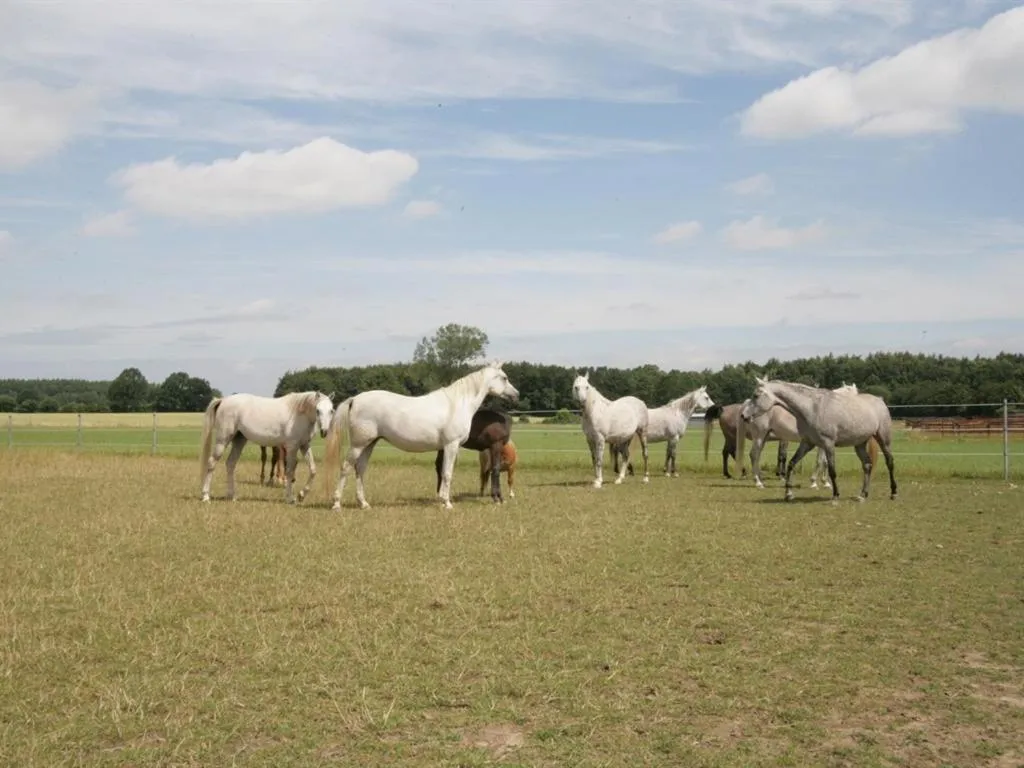 Other in Oase Friedensthal