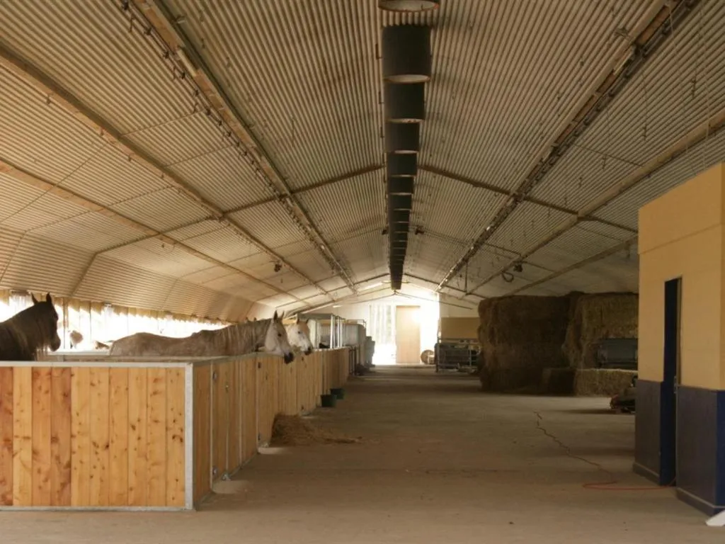 Other in Oase Friedensthal