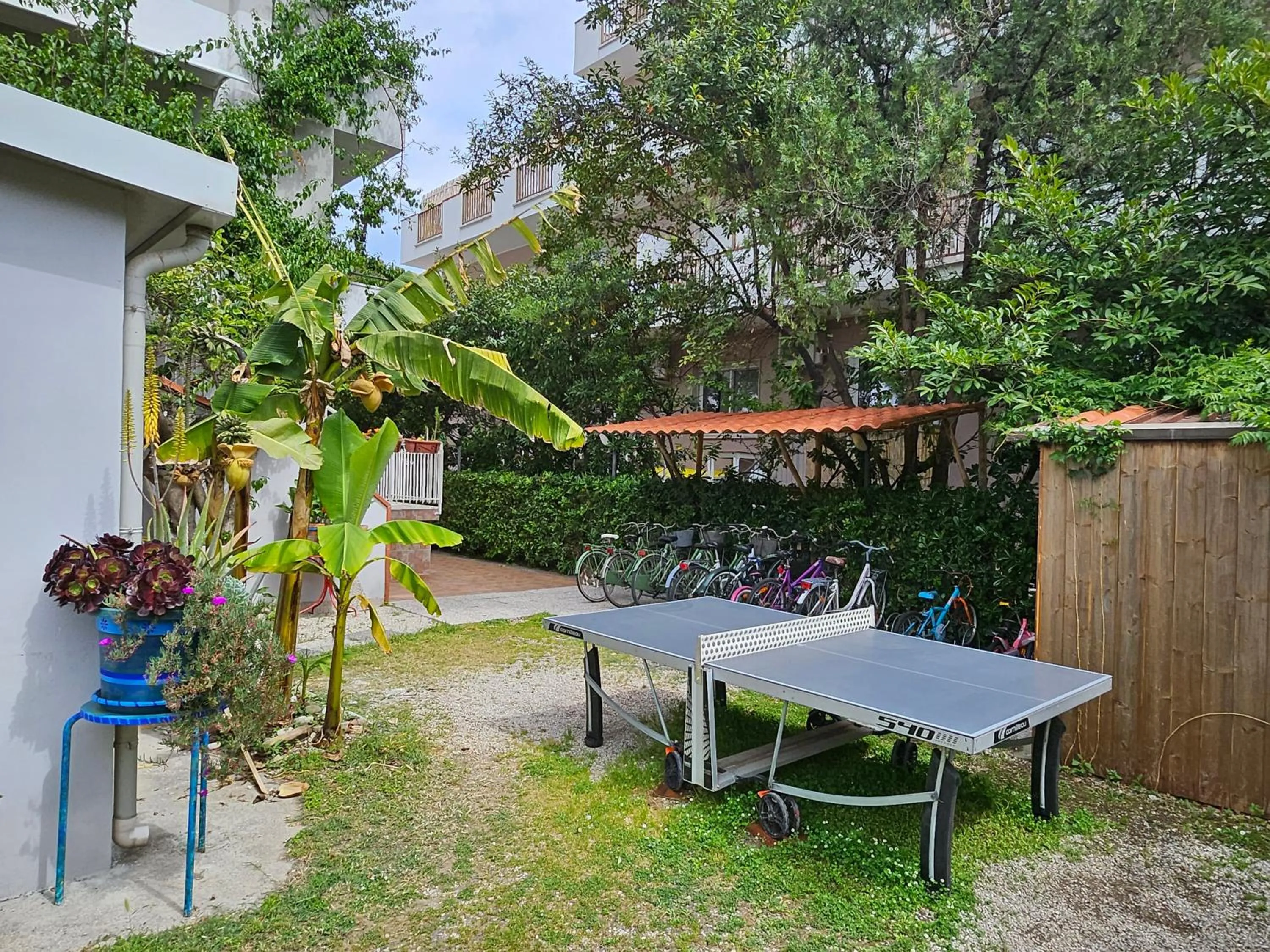 Table tennis in Hotel Cerrano