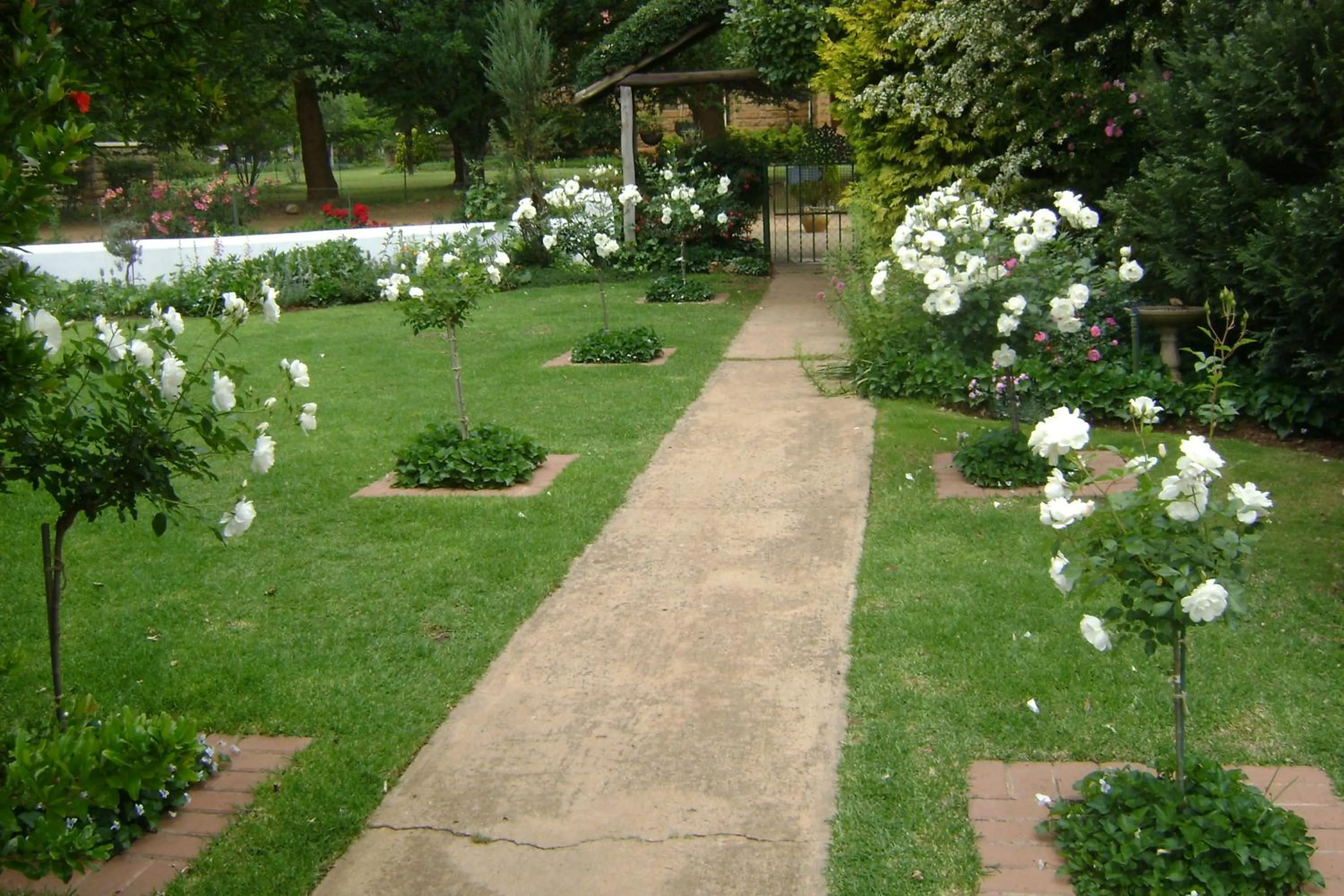 Garden in Rosewood Corner, Clarens