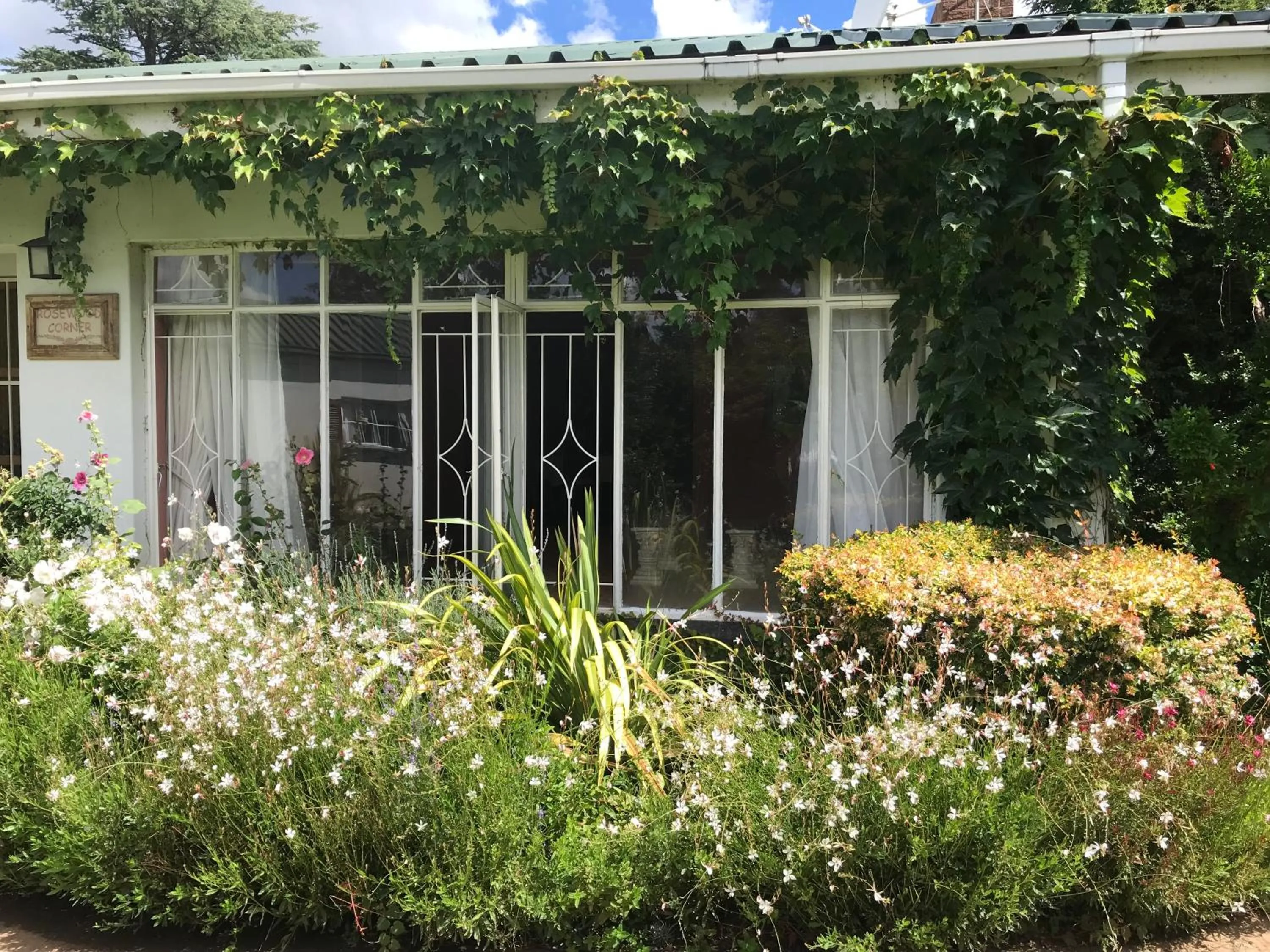 Garden in Rosewood Corner, Clarens
