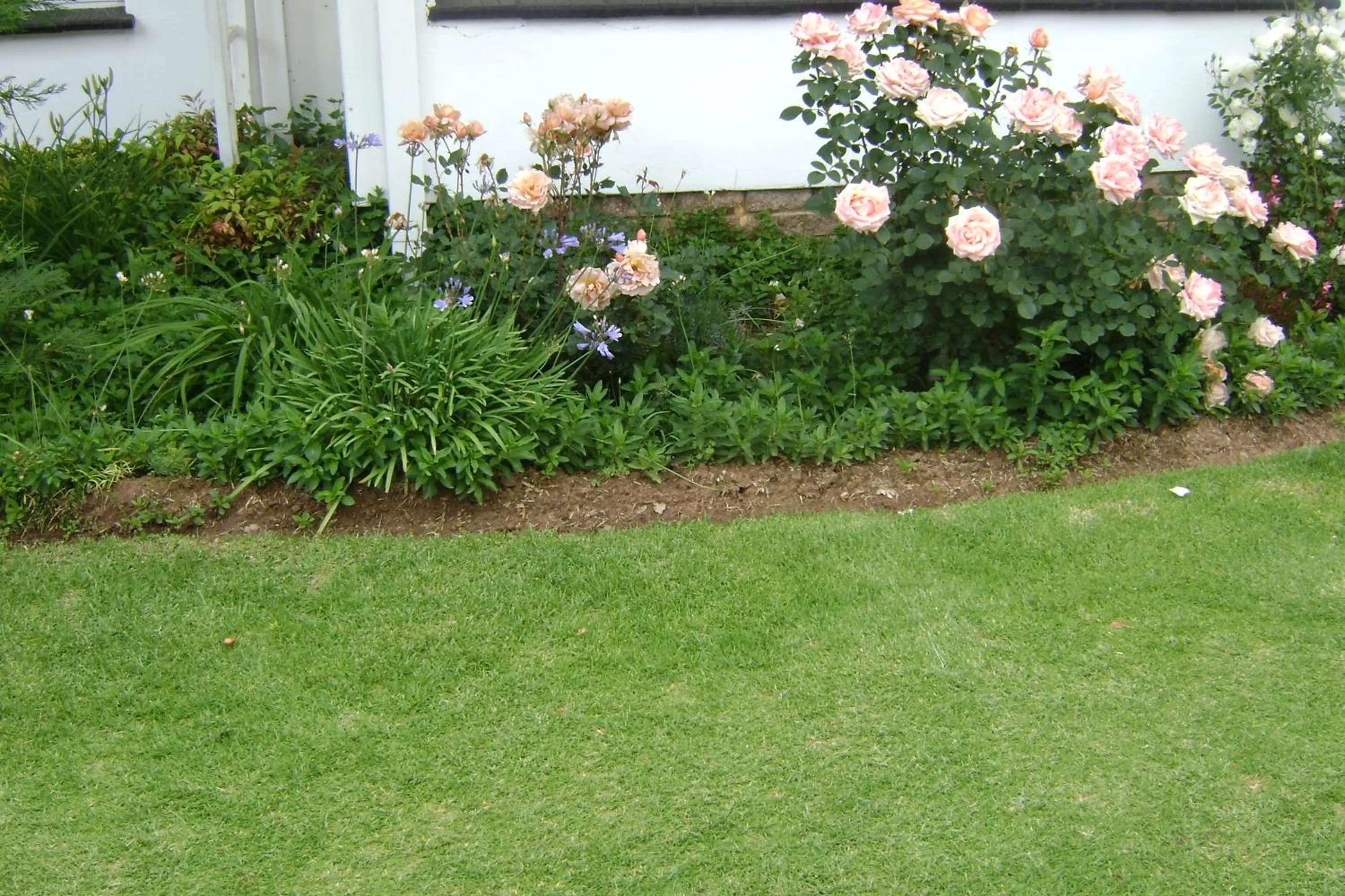 Garden in Rosewood Corner, Clarens