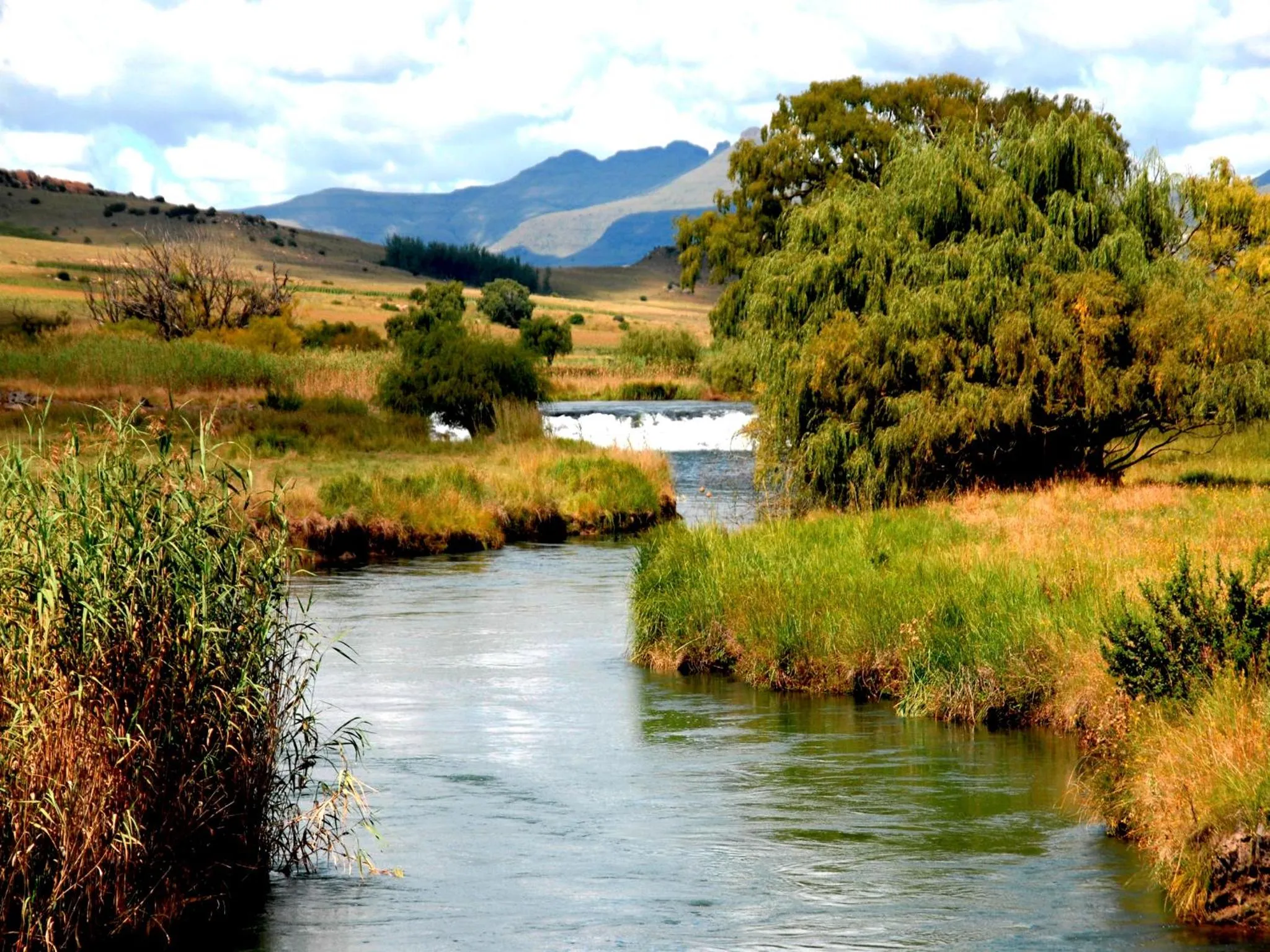 Natural landscape in Rosewood Corner, Clarens