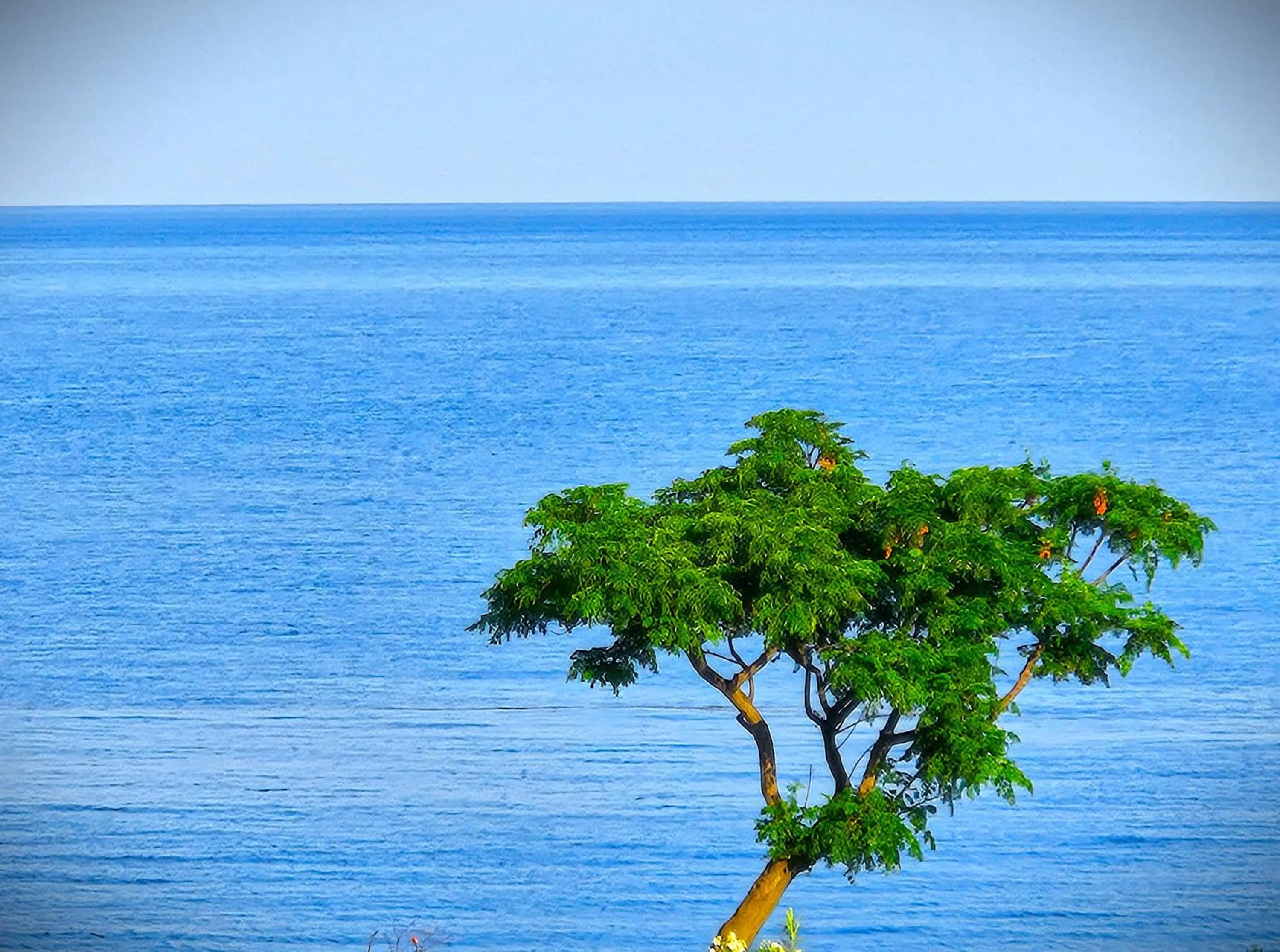 View (from property/room) in GR B&B