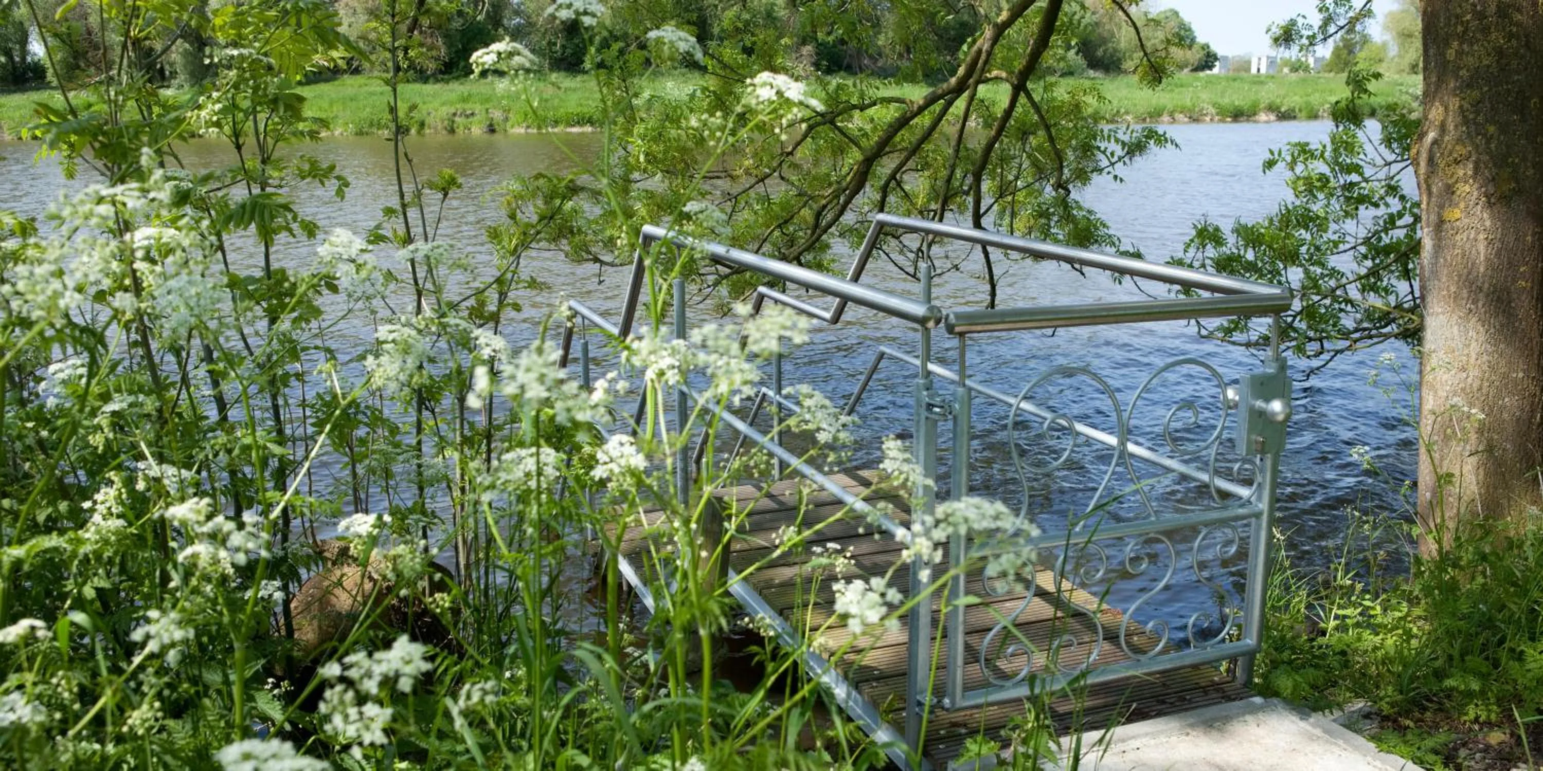 Area and facilities in Hotel Lange