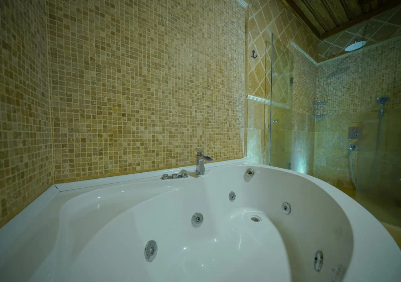 Shower in ShoeString Stone House