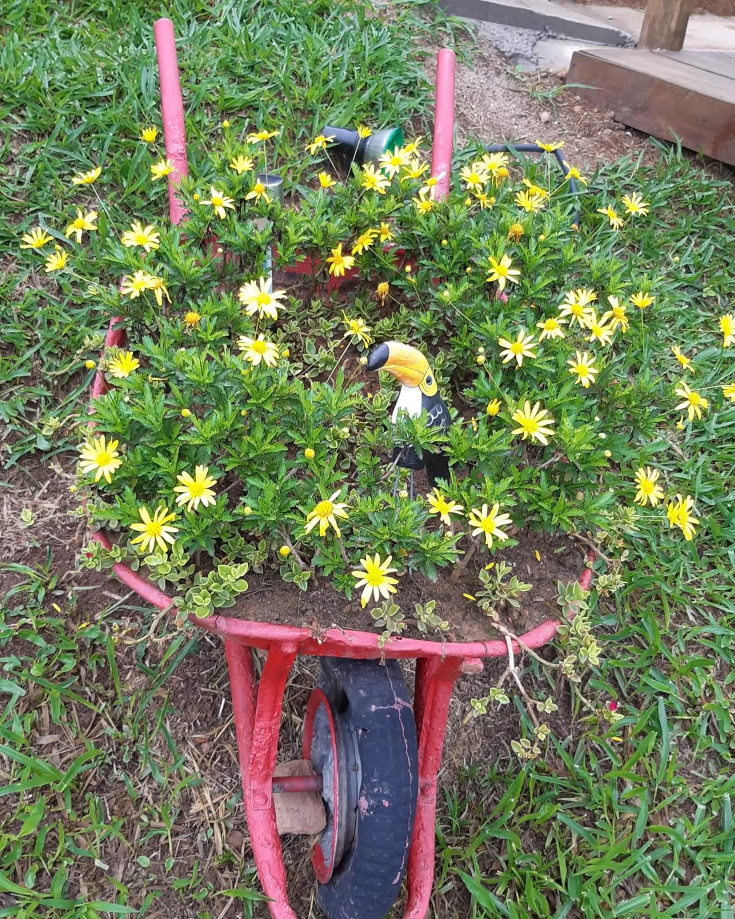 Garden in B&B Sol Poente