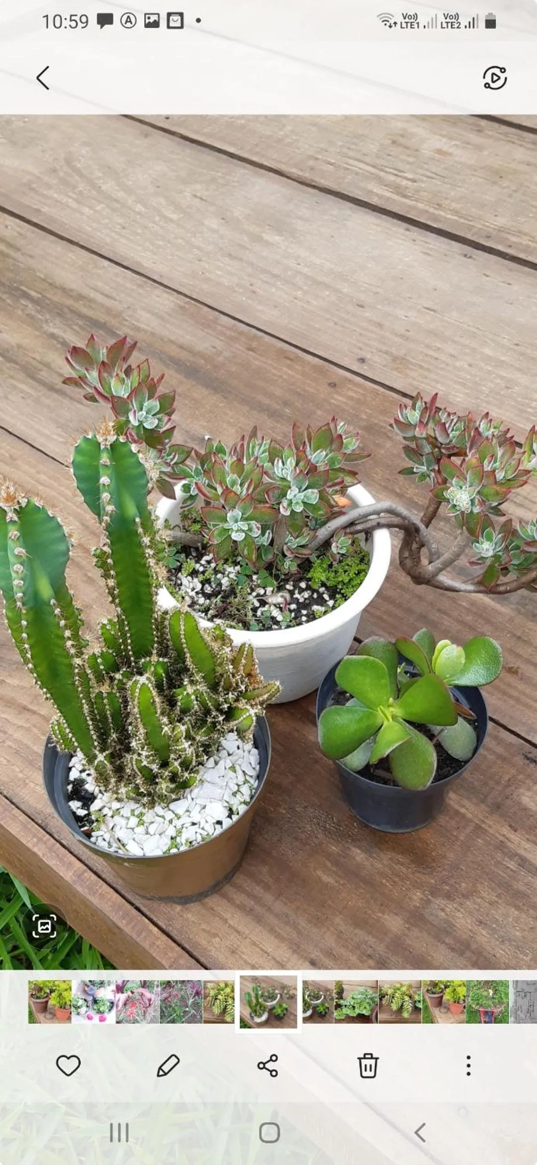 Garden in B&B Sol Poente