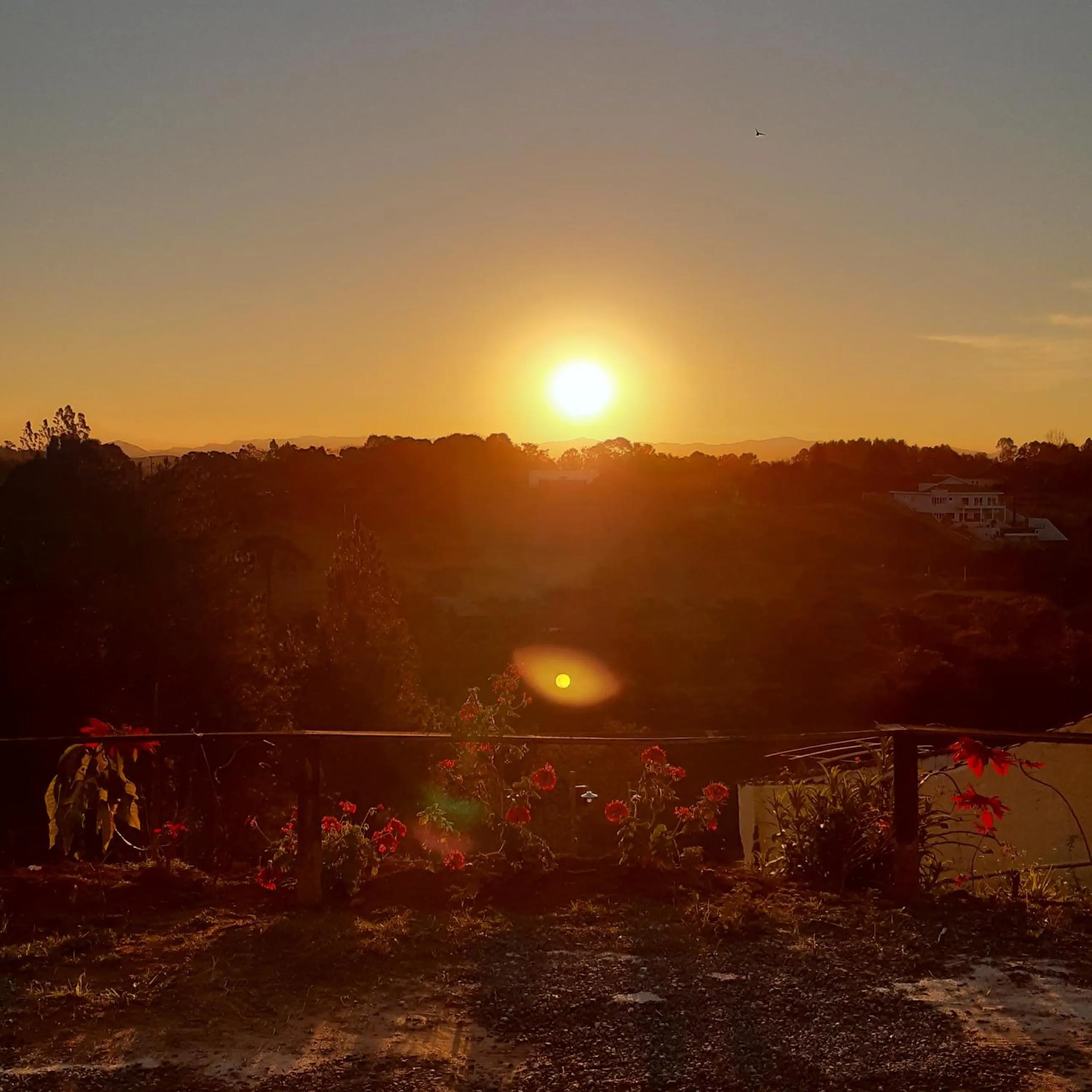 Natural landscape in B&B Sol Poente