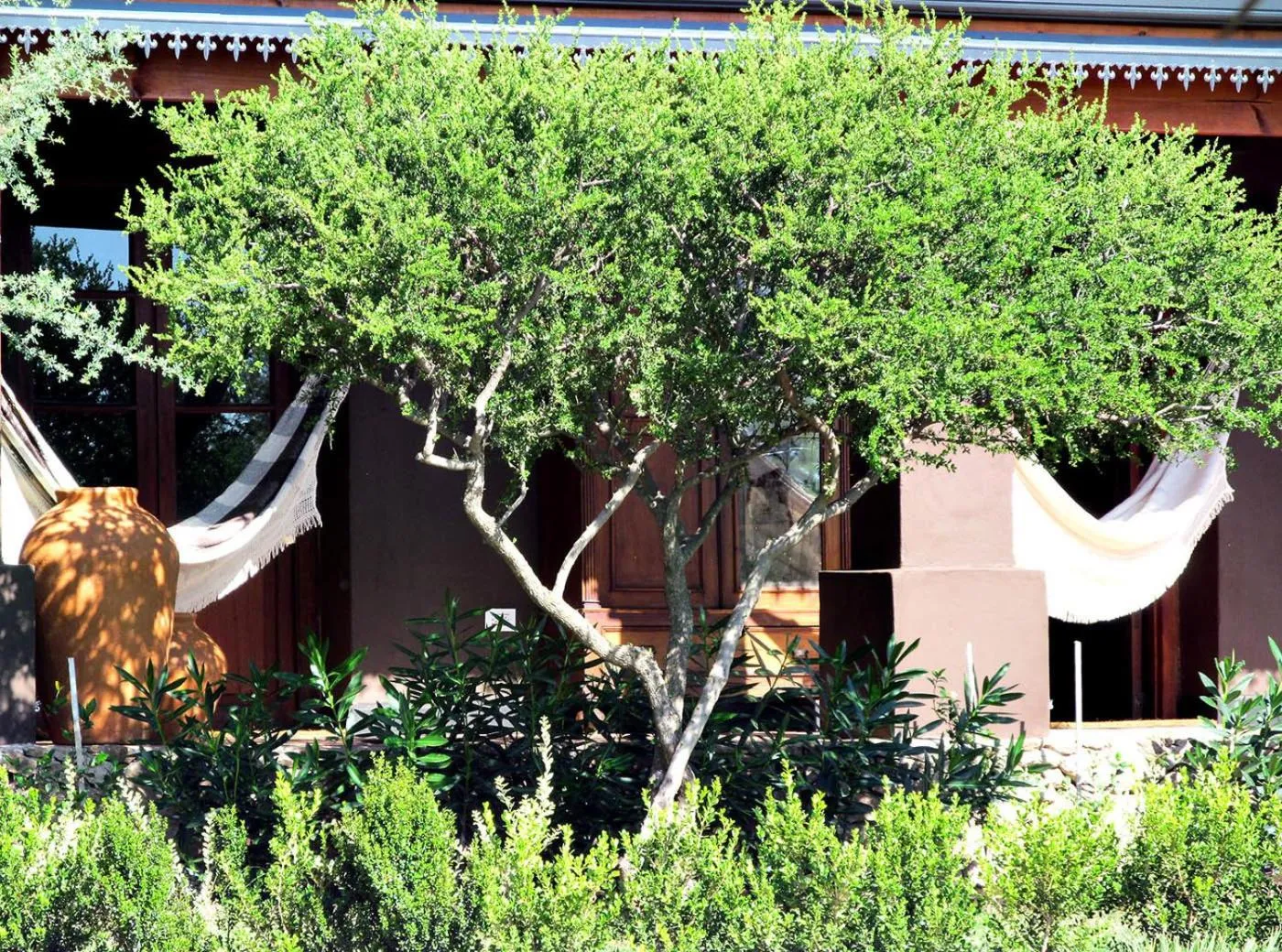 Facade/entrance in El Jarillal