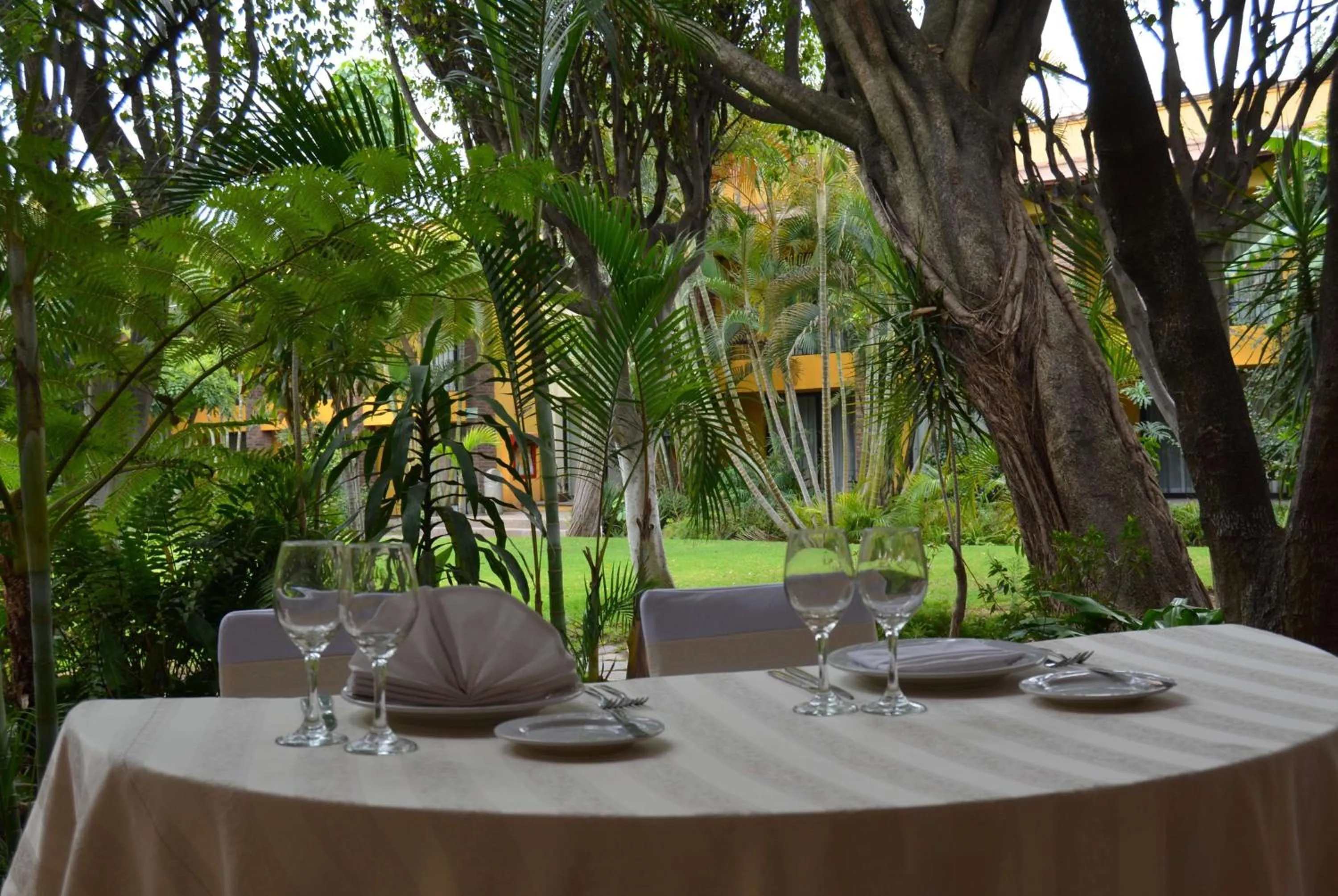 On site in Wyndham Garden Guadalajara Expo Plaza del Sol