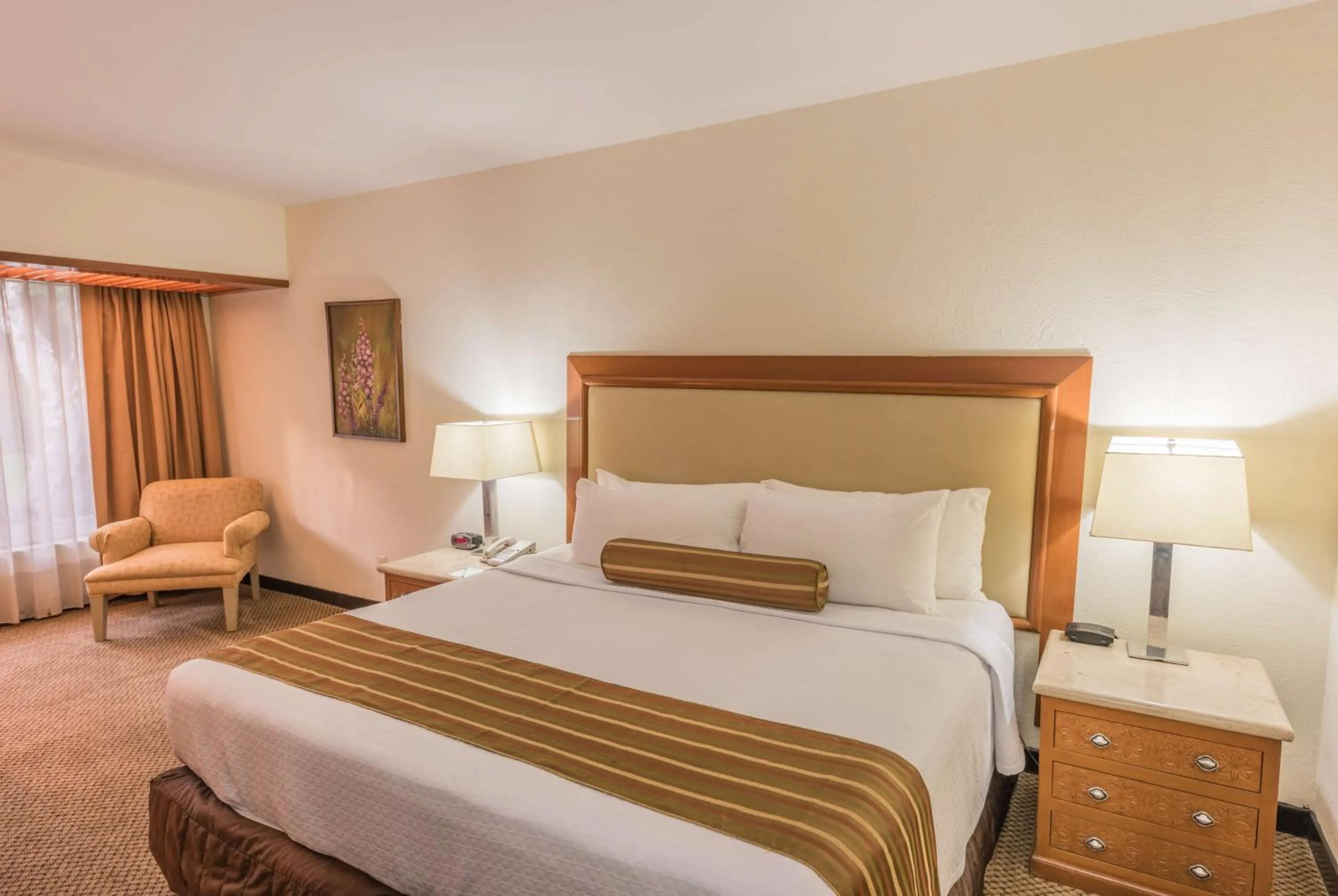 Photo of the whole room, Bed in Wyndham Garden Guadalajara Expo Plaza del Sol