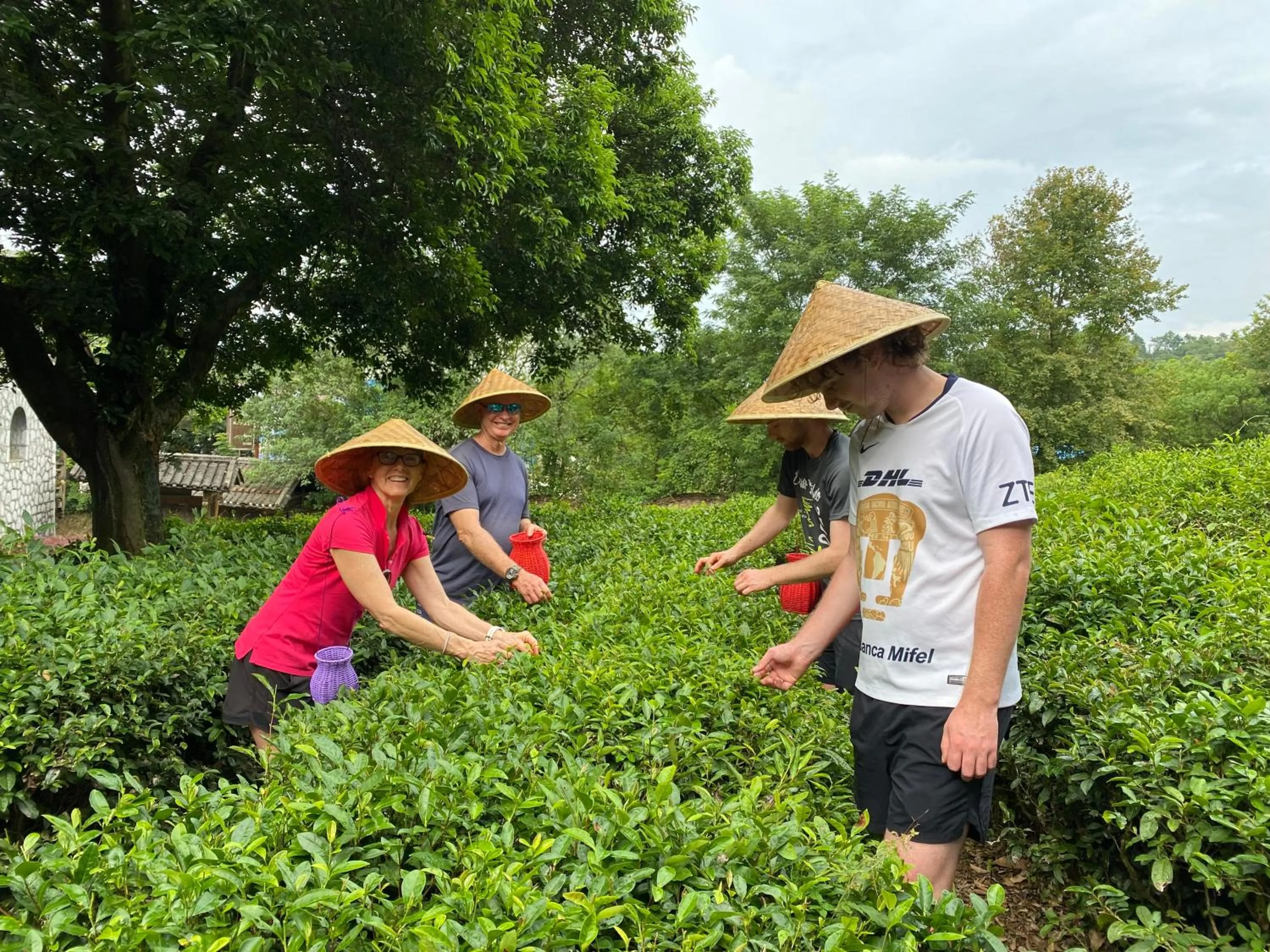 Activities in Junshe Boutique Guest House-Complementary pick up servie for a 3-night stay in a deluxe room