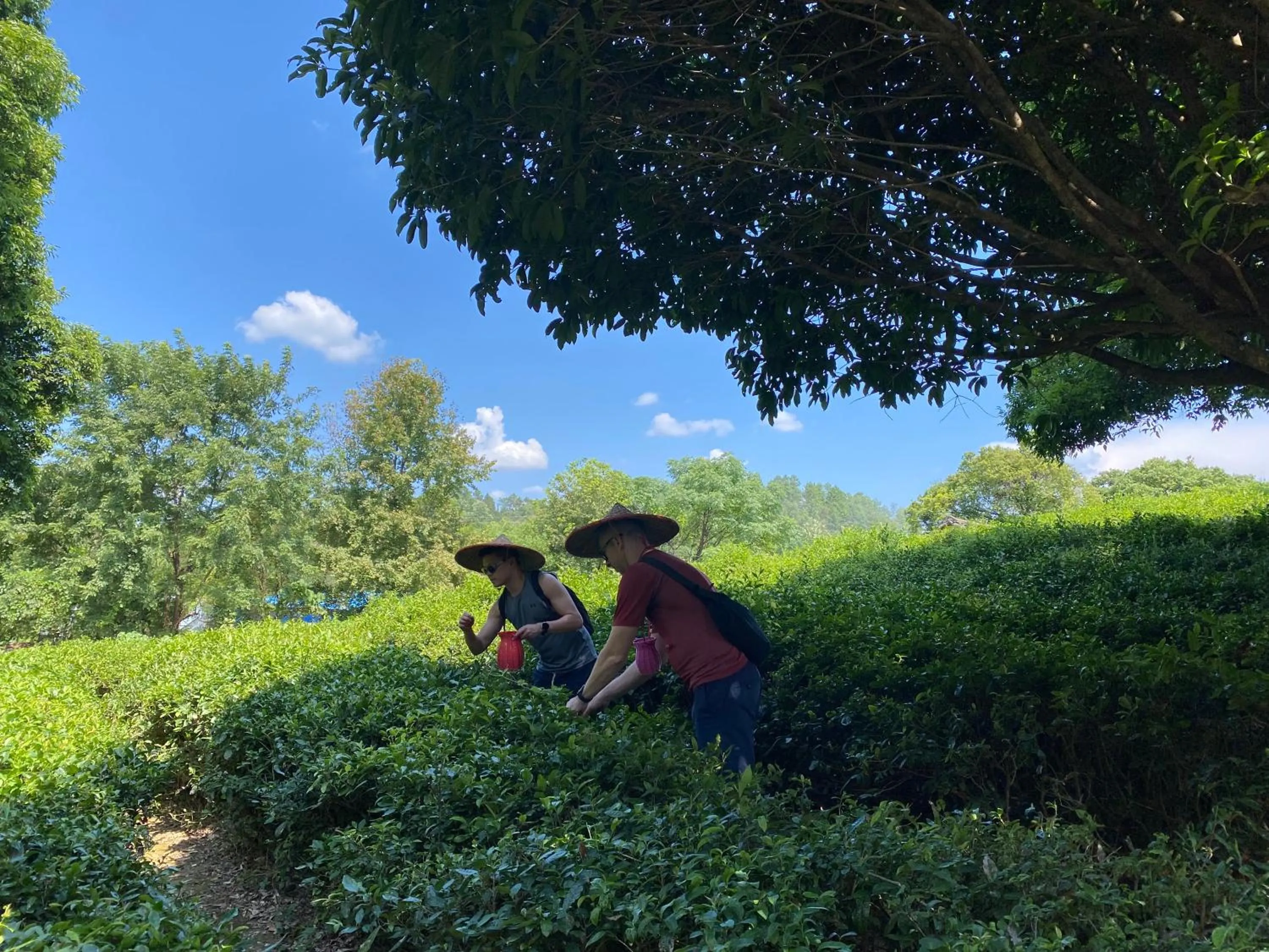 People in Junshe Boutique Guest House-Complementary pick up servie for a 3-night stay in a deluxe room