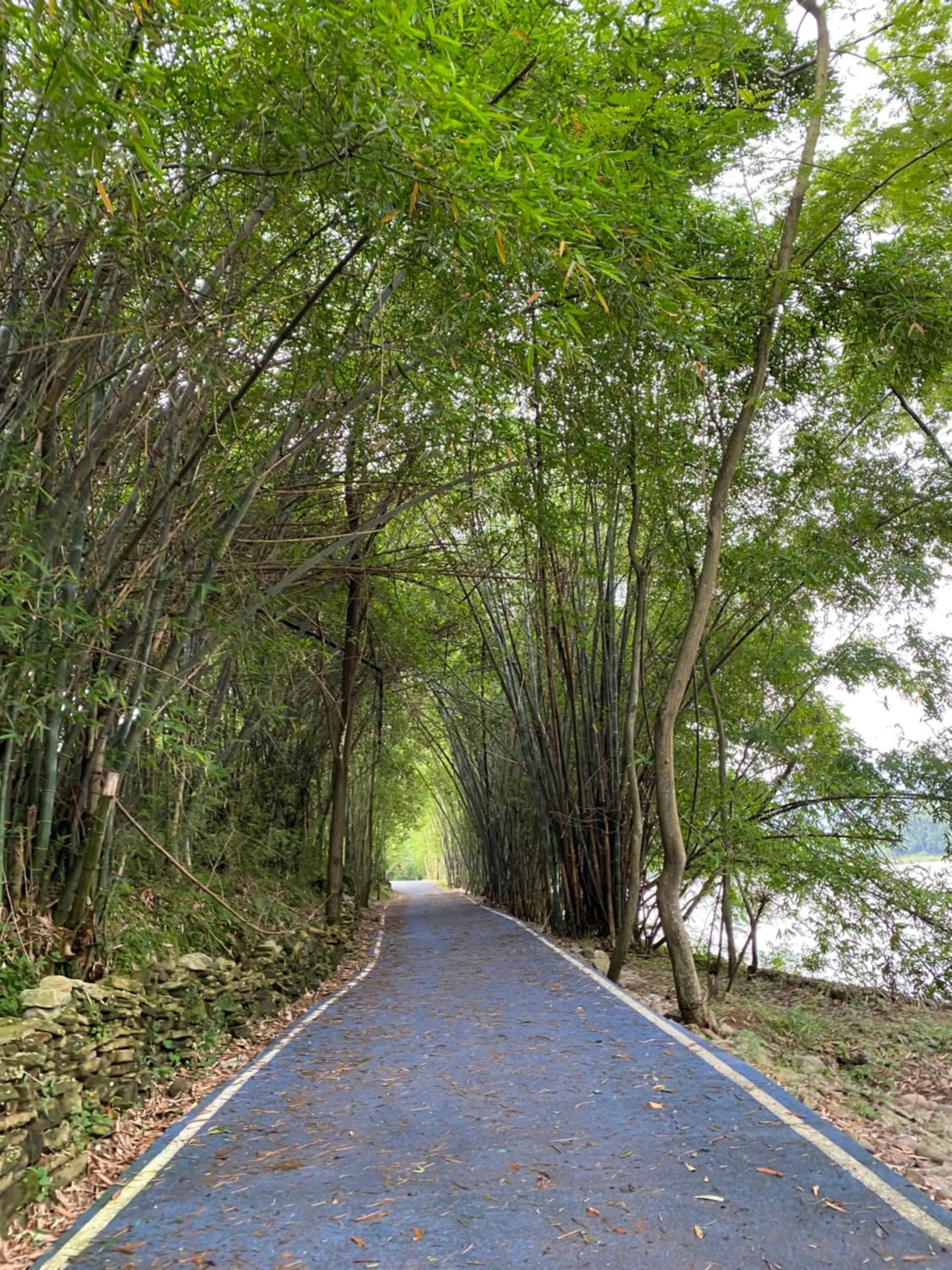 Natural landscape in Junshe Boutique Guest House-Complementary pick up servie for a 3-night stay in a deluxe room