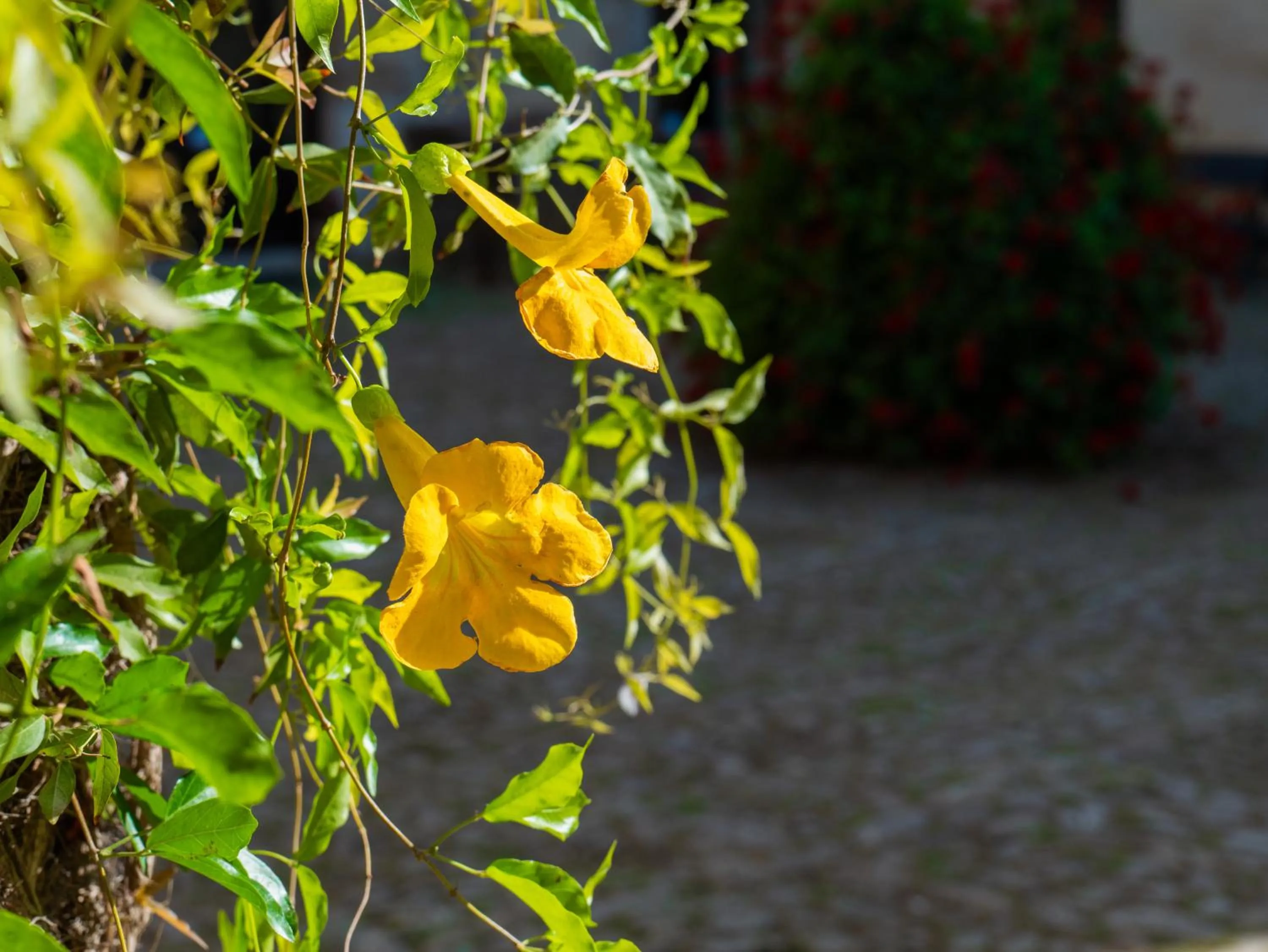 Agriturismo Baglio Fontana