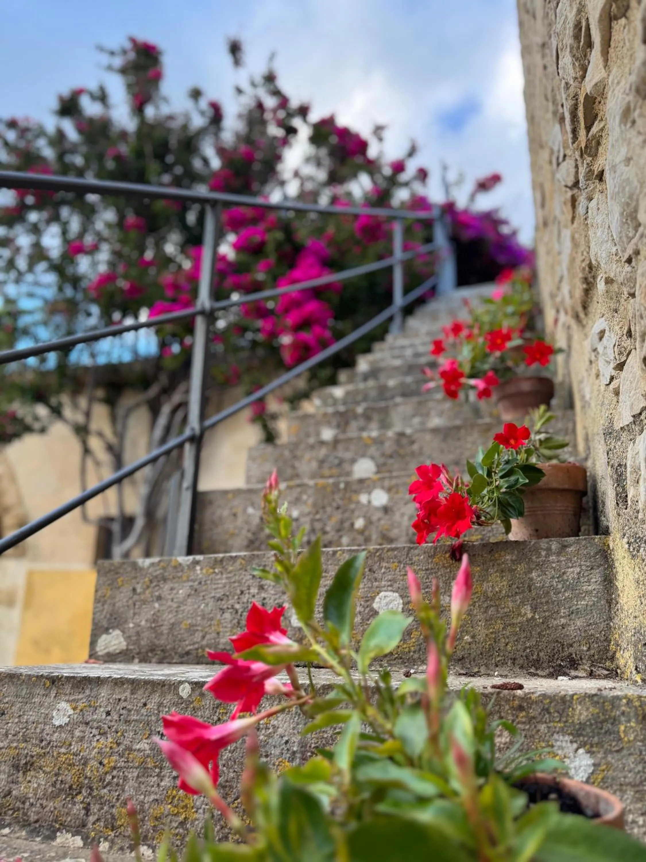 Agriturismo Baglio Fontana