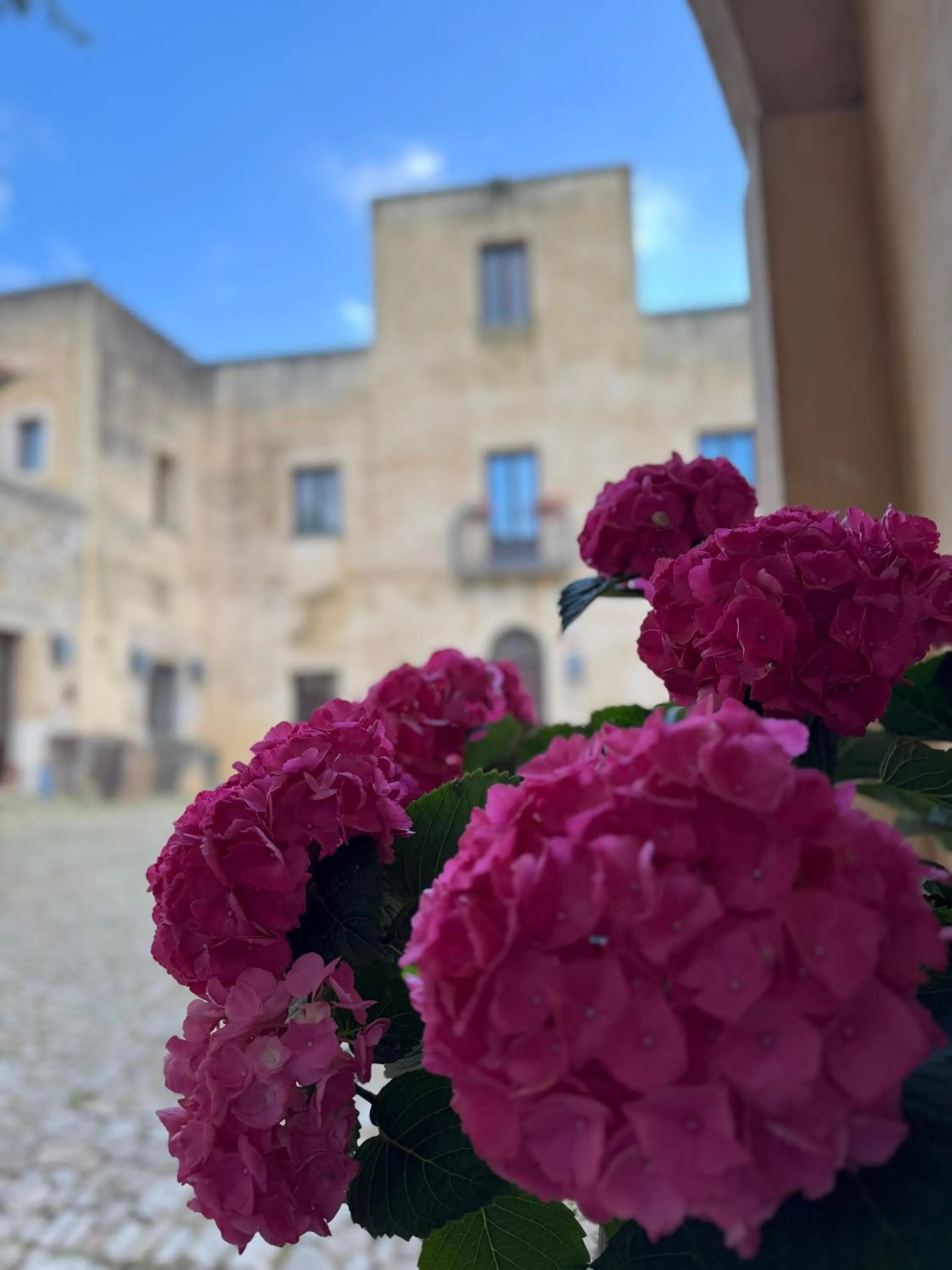 Agriturismo Baglio Fontana