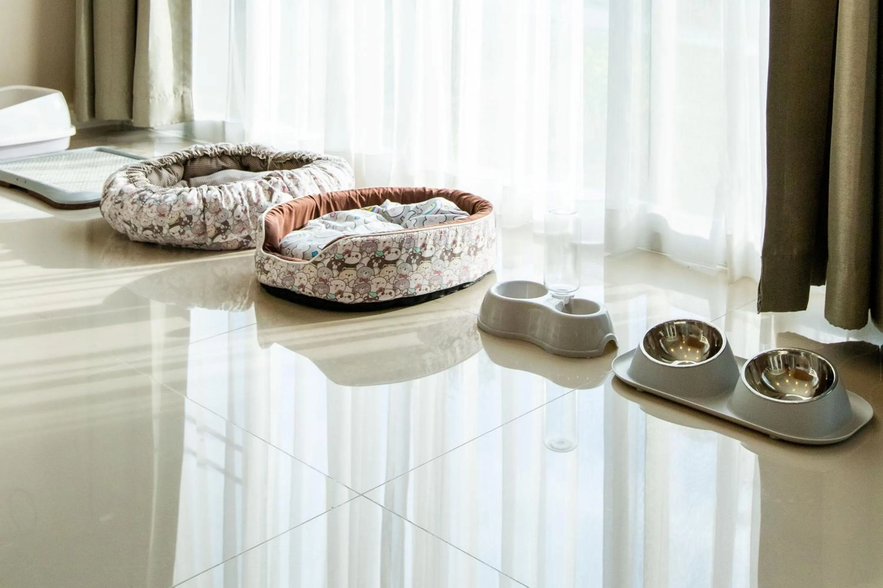 pet friendly in Bangsaen Heritage Hotel