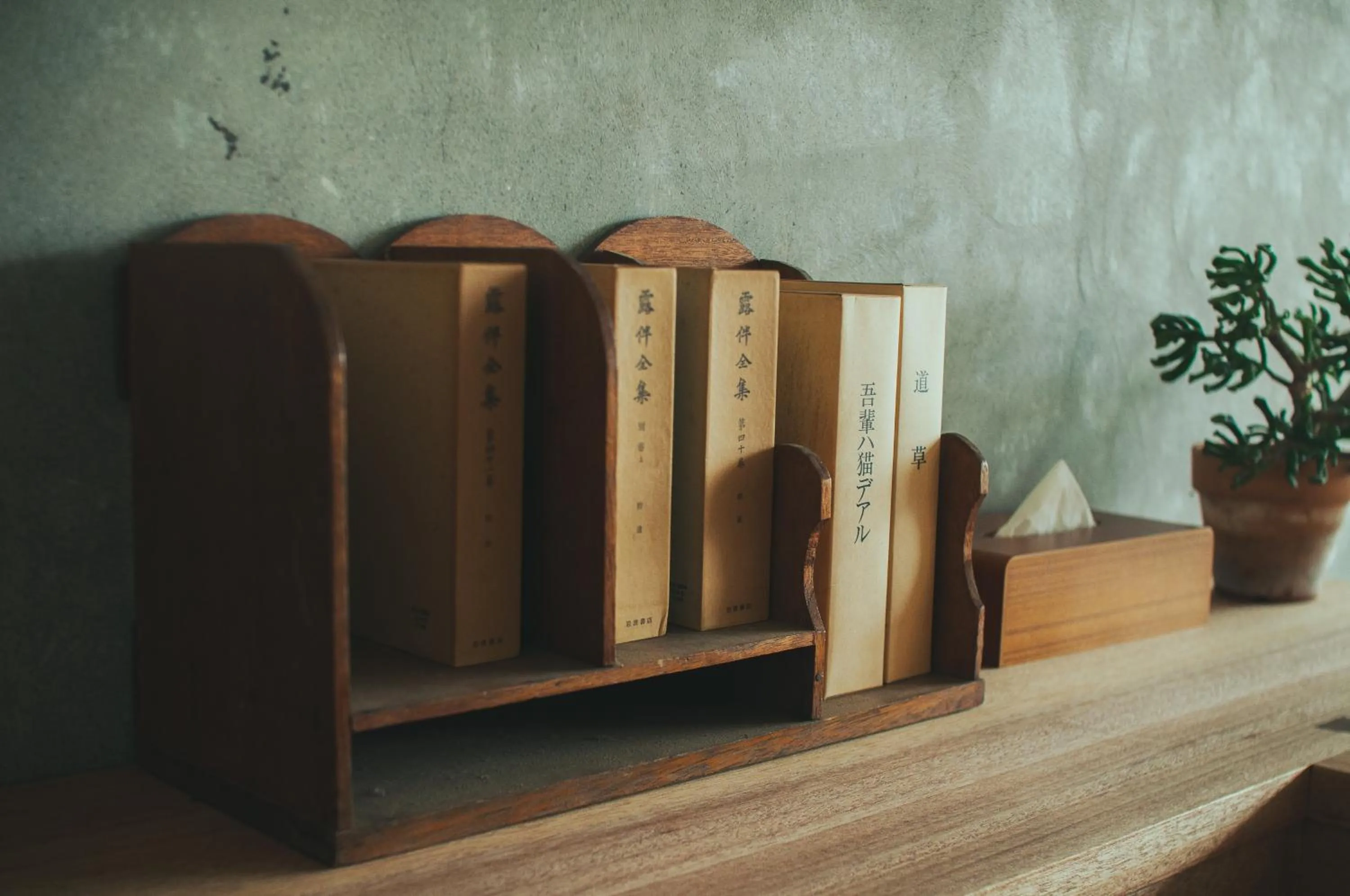 Photo of the whole room in Hostel Saruya