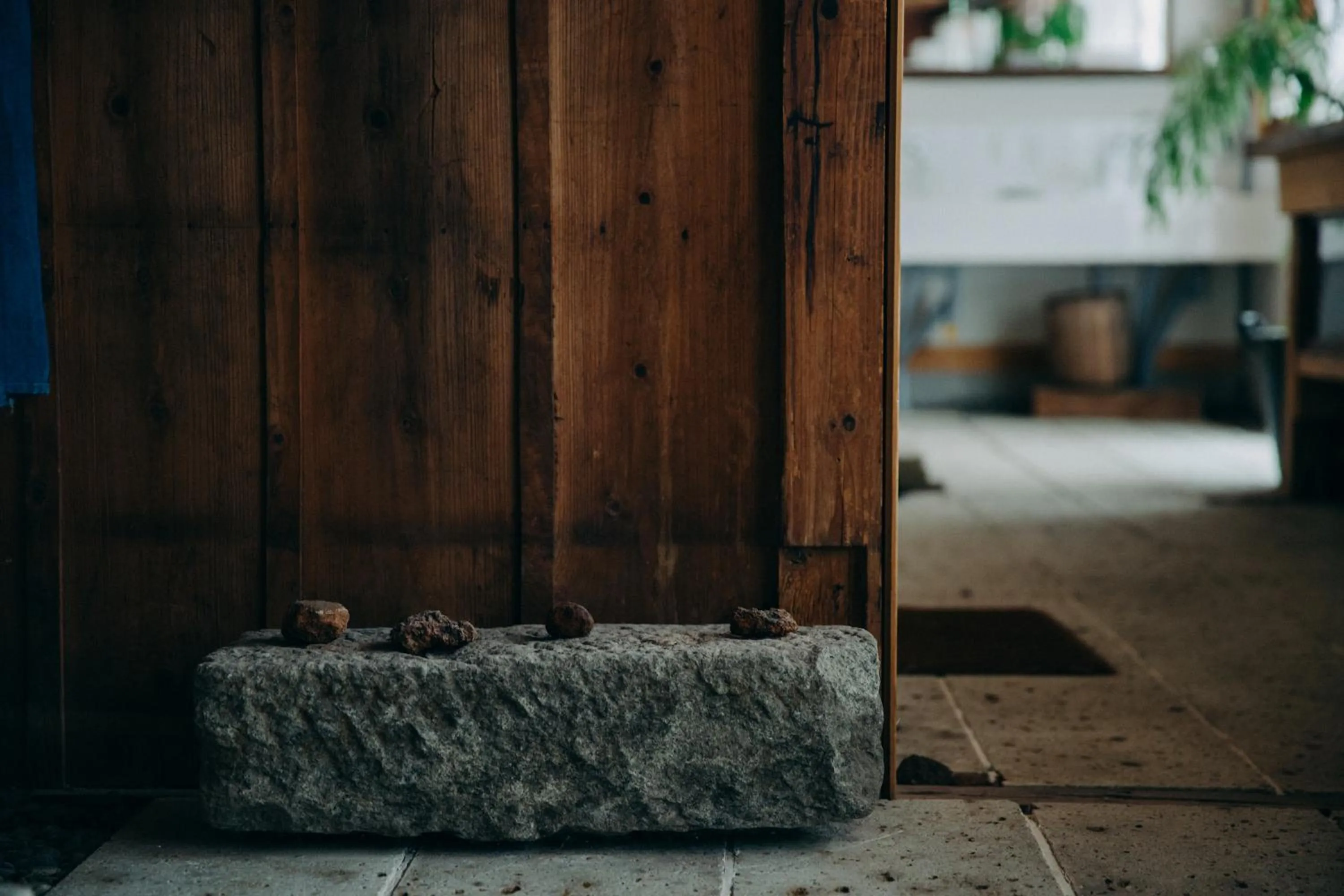 Communal kitchen in Hostel Saruya