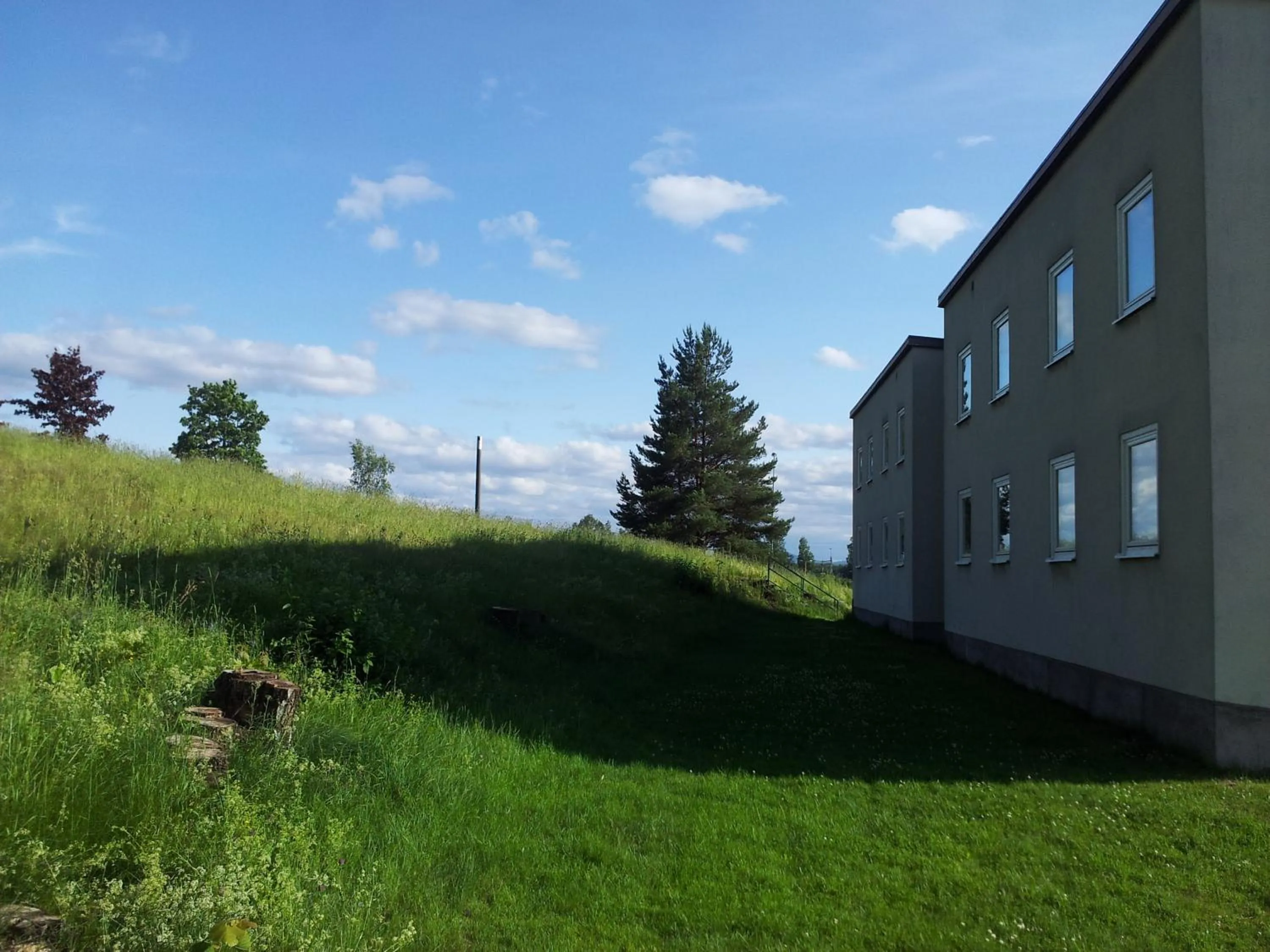 Garden in Kristinebergs Bed & Breakfast