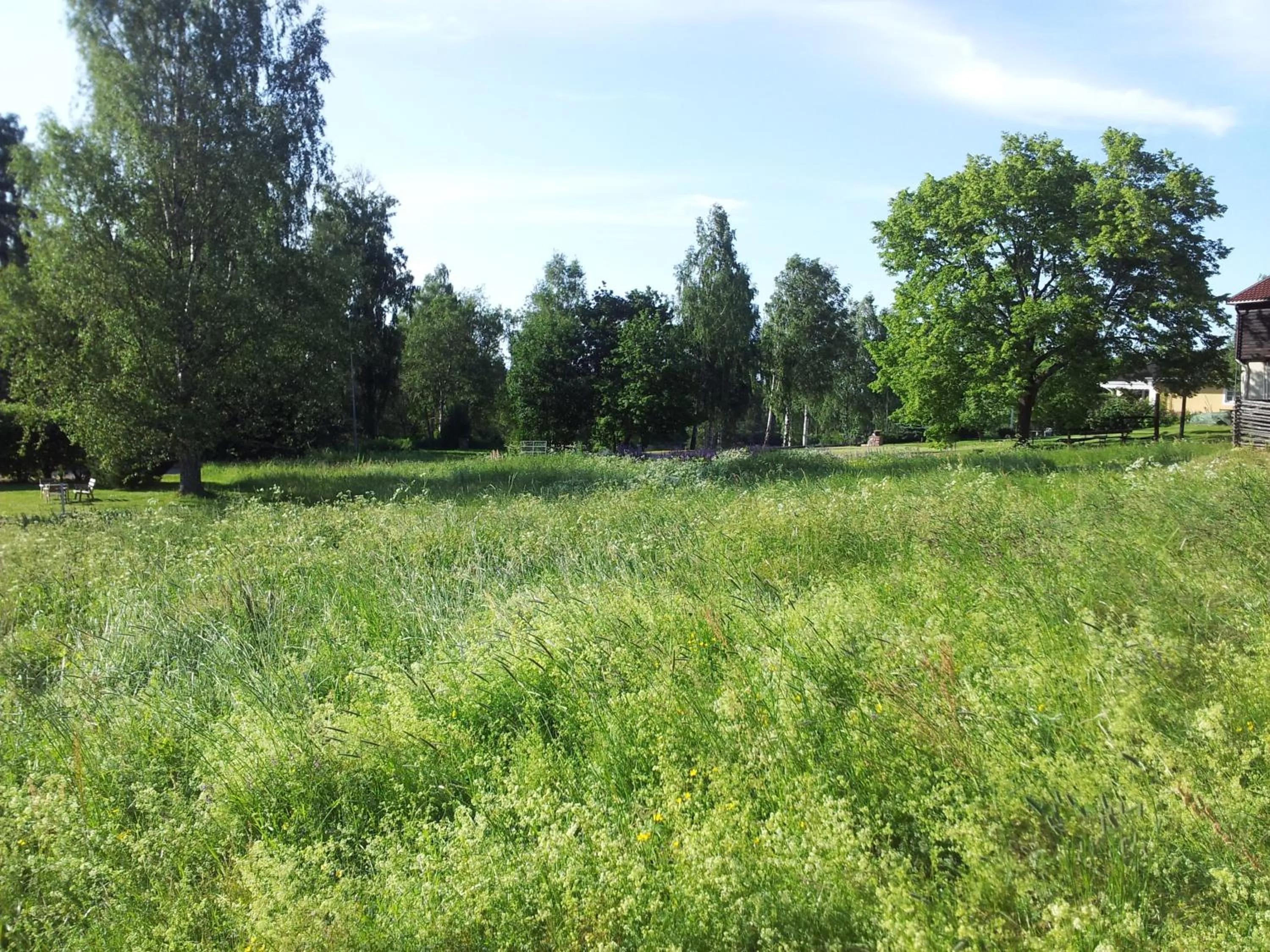 Garden view in Kristinebergs Bed & Breakfast