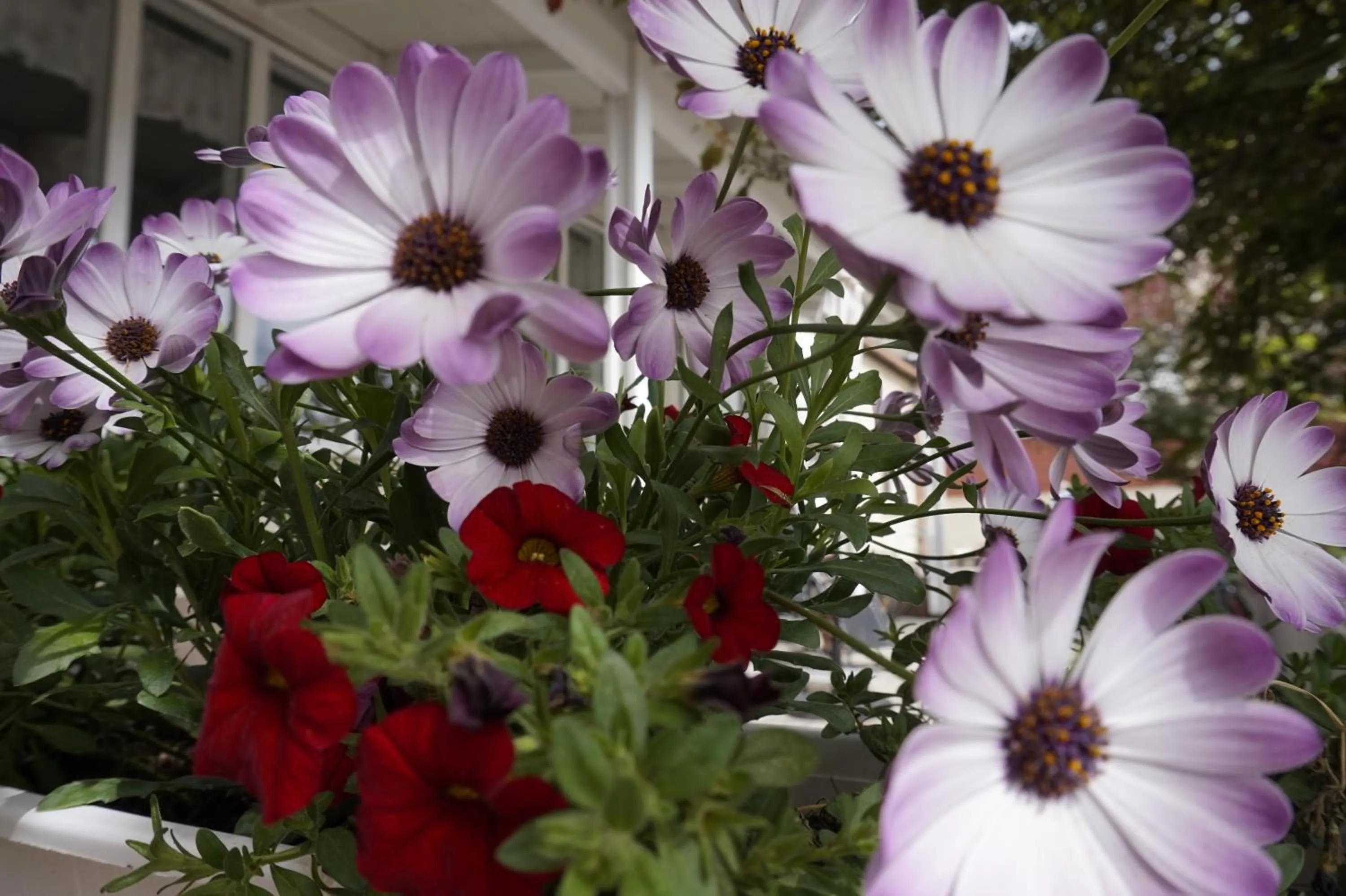 Decorative detail in Kristinebergs Bed & Breakfast